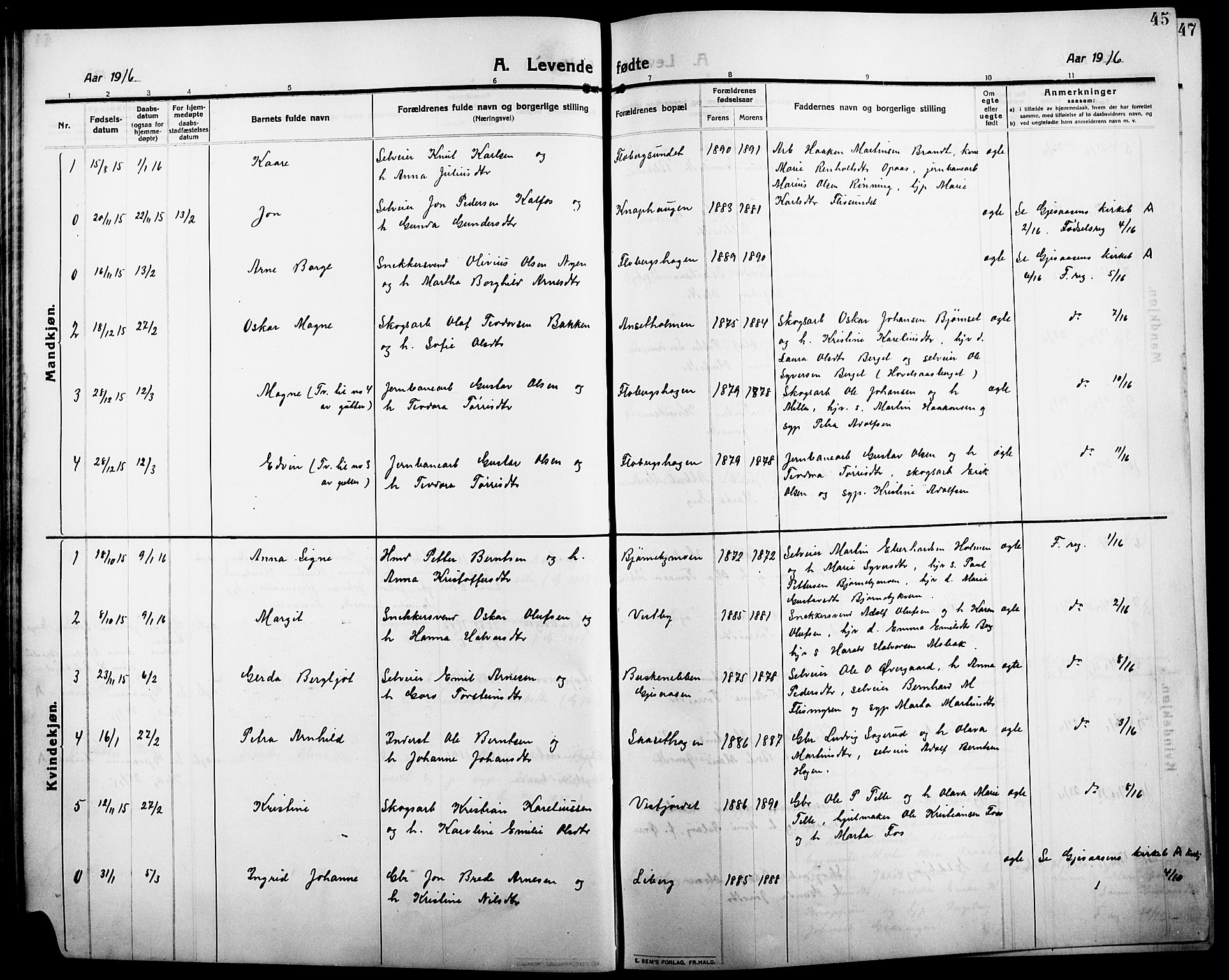 Åsnes prestekontor, SAH/PREST-042/H/Ha/Hab/L0007: Parish register (copy) no. 7, 1909-1926, p. 45