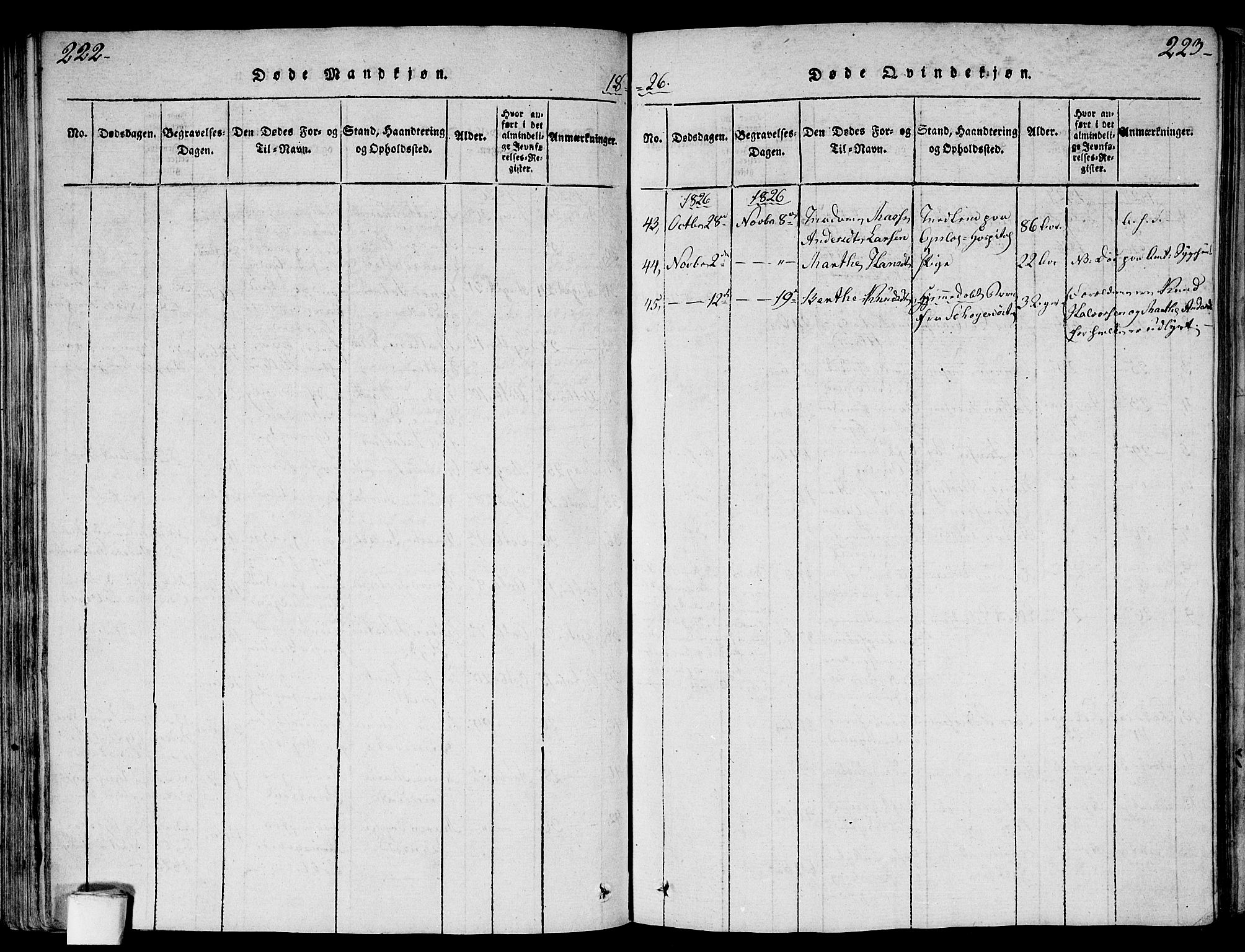 Gamlebyen prestekontor Kirkebøker, AV/SAO-A-10884/F/Fa/L0002: Parish register (official) no. 2, 1817-1829, p. 222-223