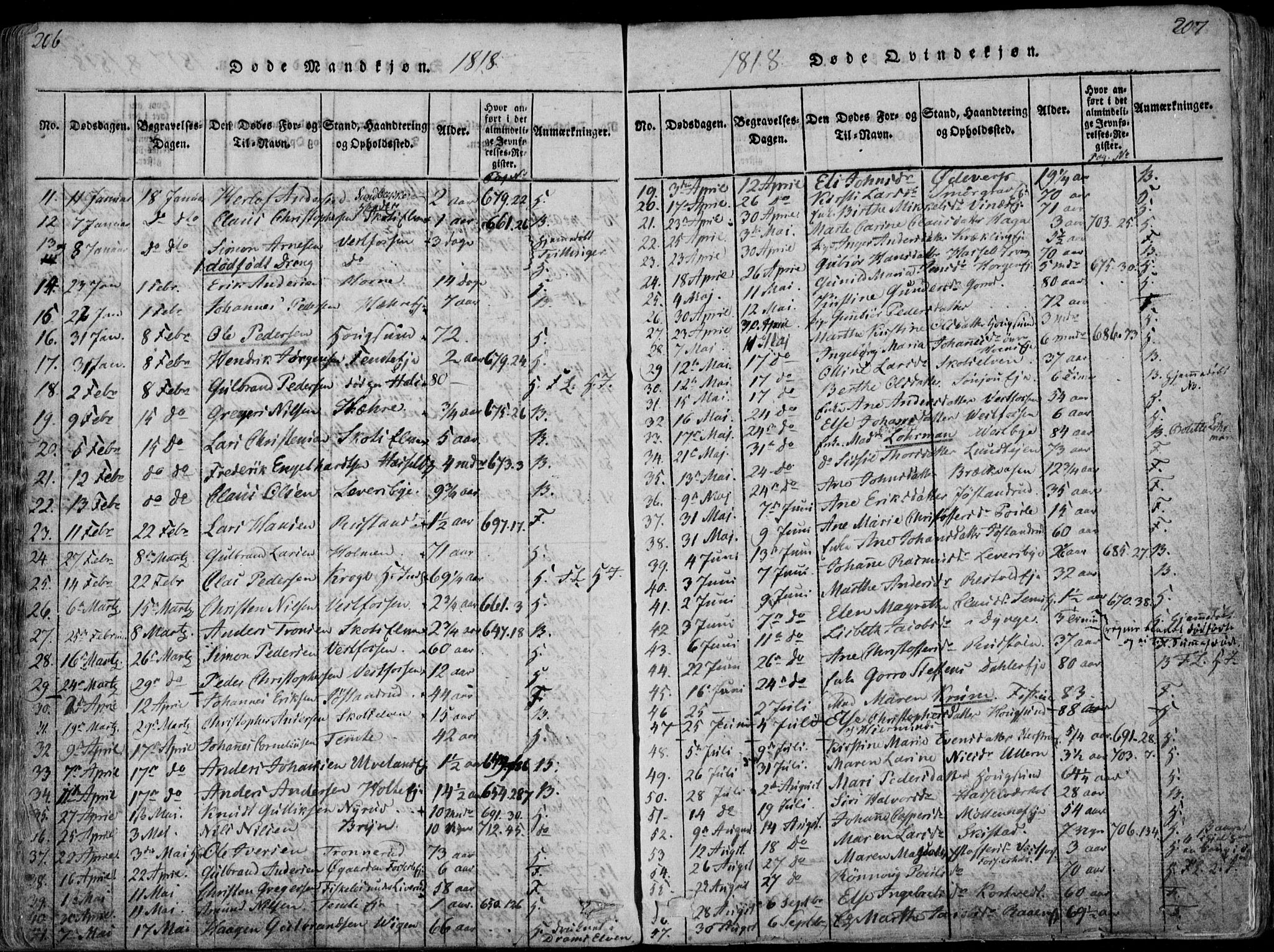 Eiker kirkebøker, AV/SAKO-A-4/F/Fa/L0011: Parish register (official) no. I 11, 1814-1827, p. 206-207