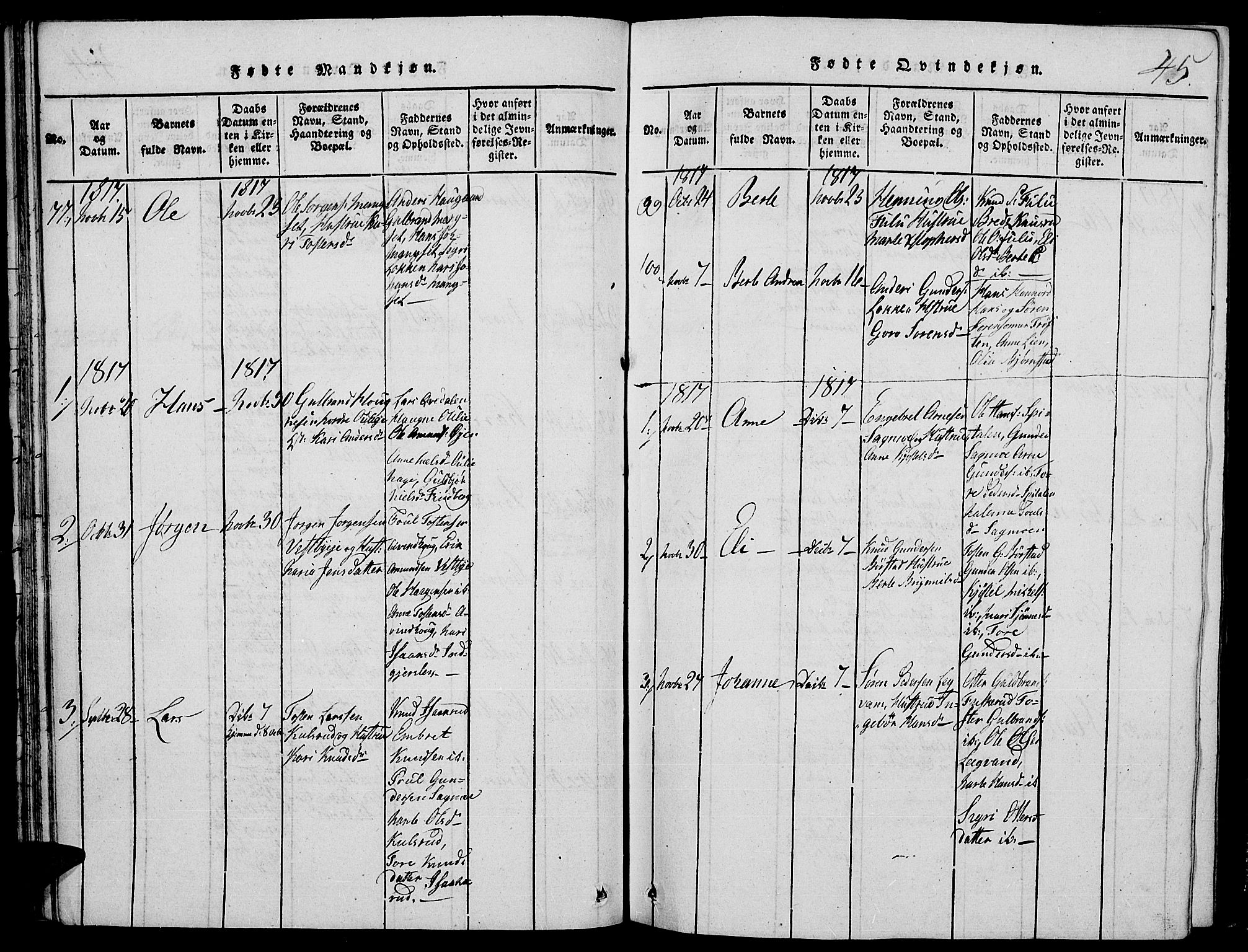 Strøm-Odalen prestekontor, AV/SAH-PREST-028/H/Ha/Hab/L0001: Parish register (copy) no. 1, 1813-1825, p. 45