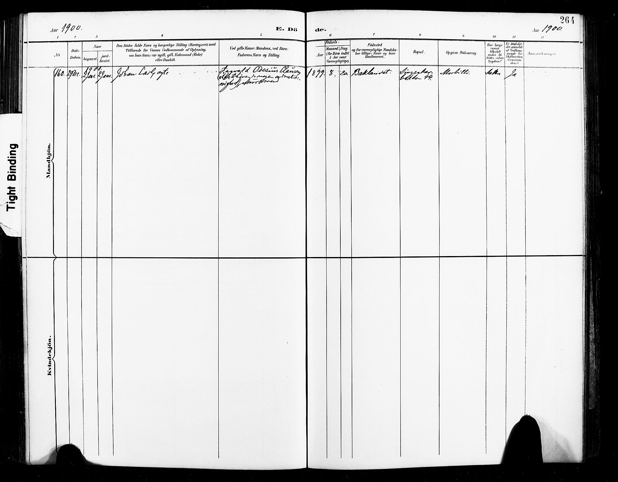 Ministerialprotokoller, klokkerbøker og fødselsregistre - Sør-Trøndelag, SAT/A-1456/604/L0198: Parish register (official) no. 604A19, 1893-1900, p. 264