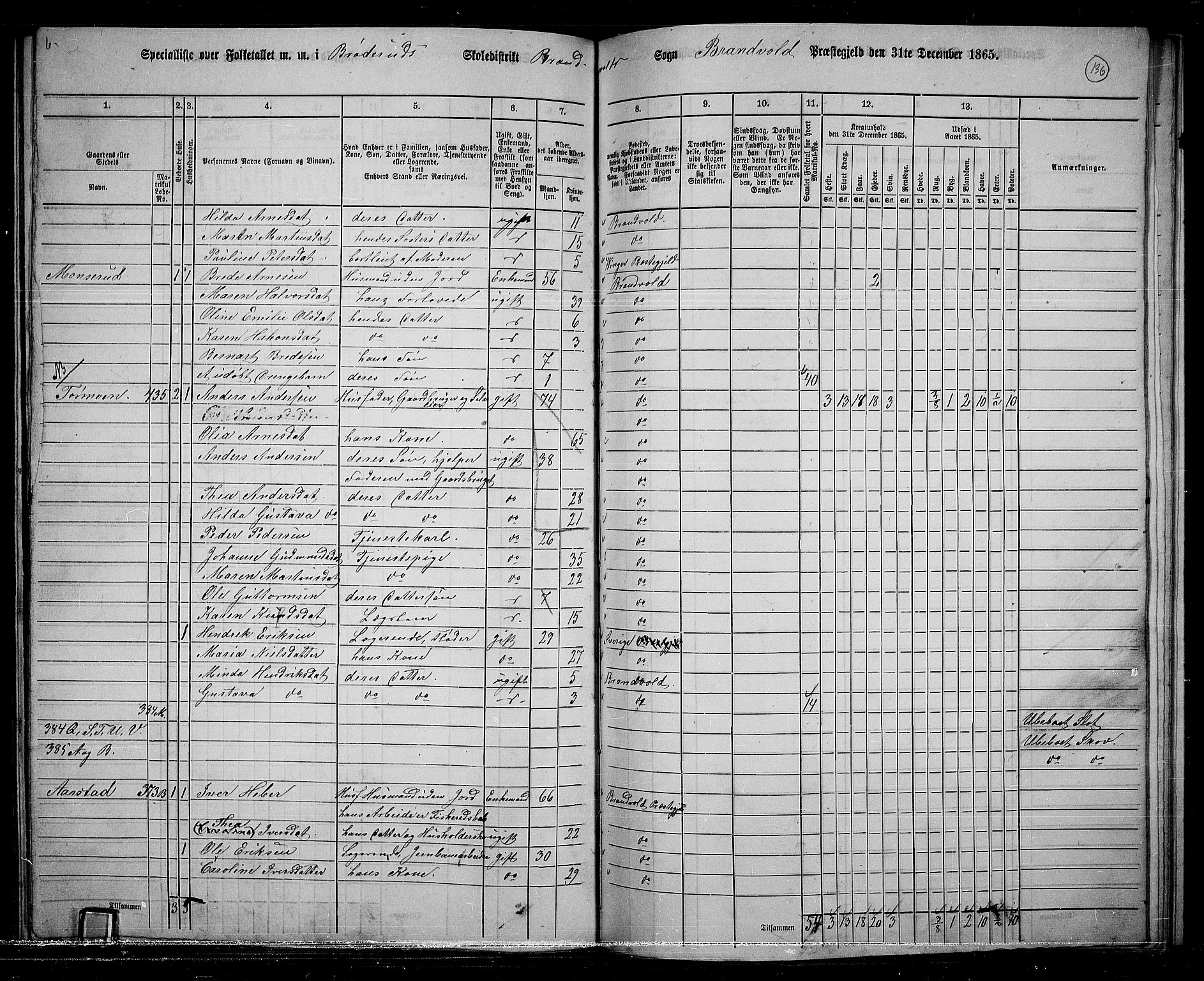 RA, 1865 census for Brandval, 1865, p. 117