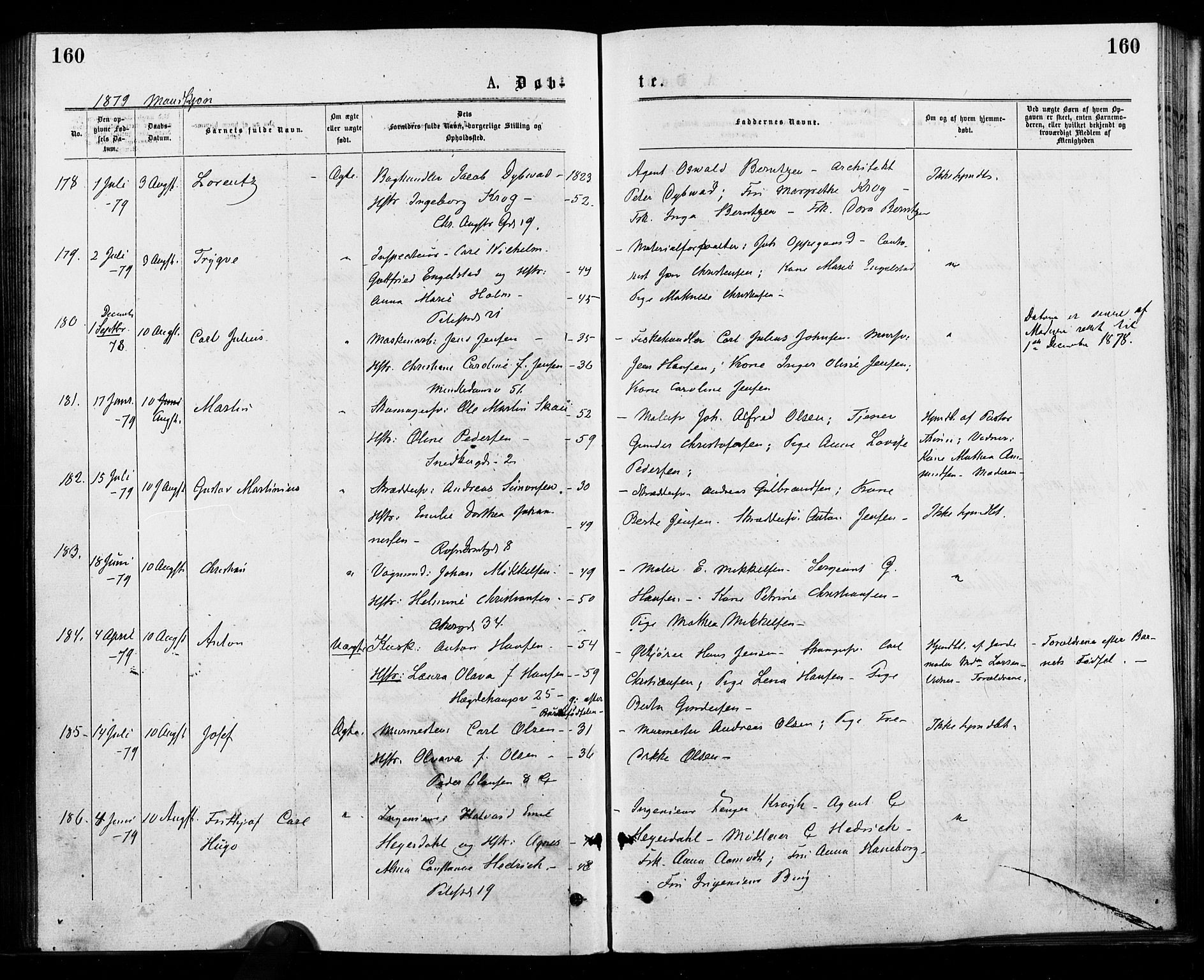 Trefoldighet prestekontor Kirkebøker, SAO/A-10882/F/Fa/L0004: Parish register (official) no. I 4, 1876-1880, p. 160