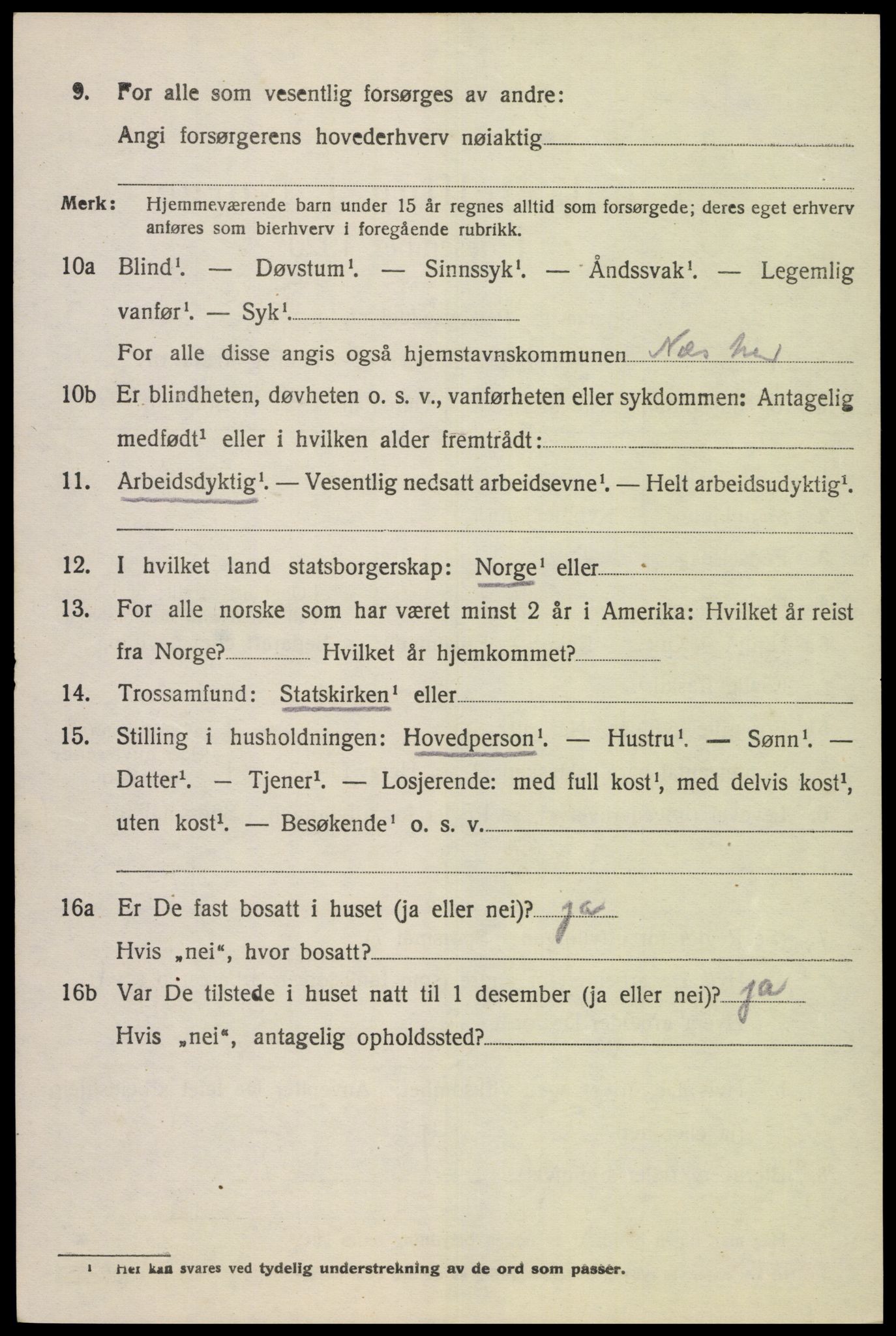 SAK, 1920 census for Nes (V-A), 1920, p. 4843