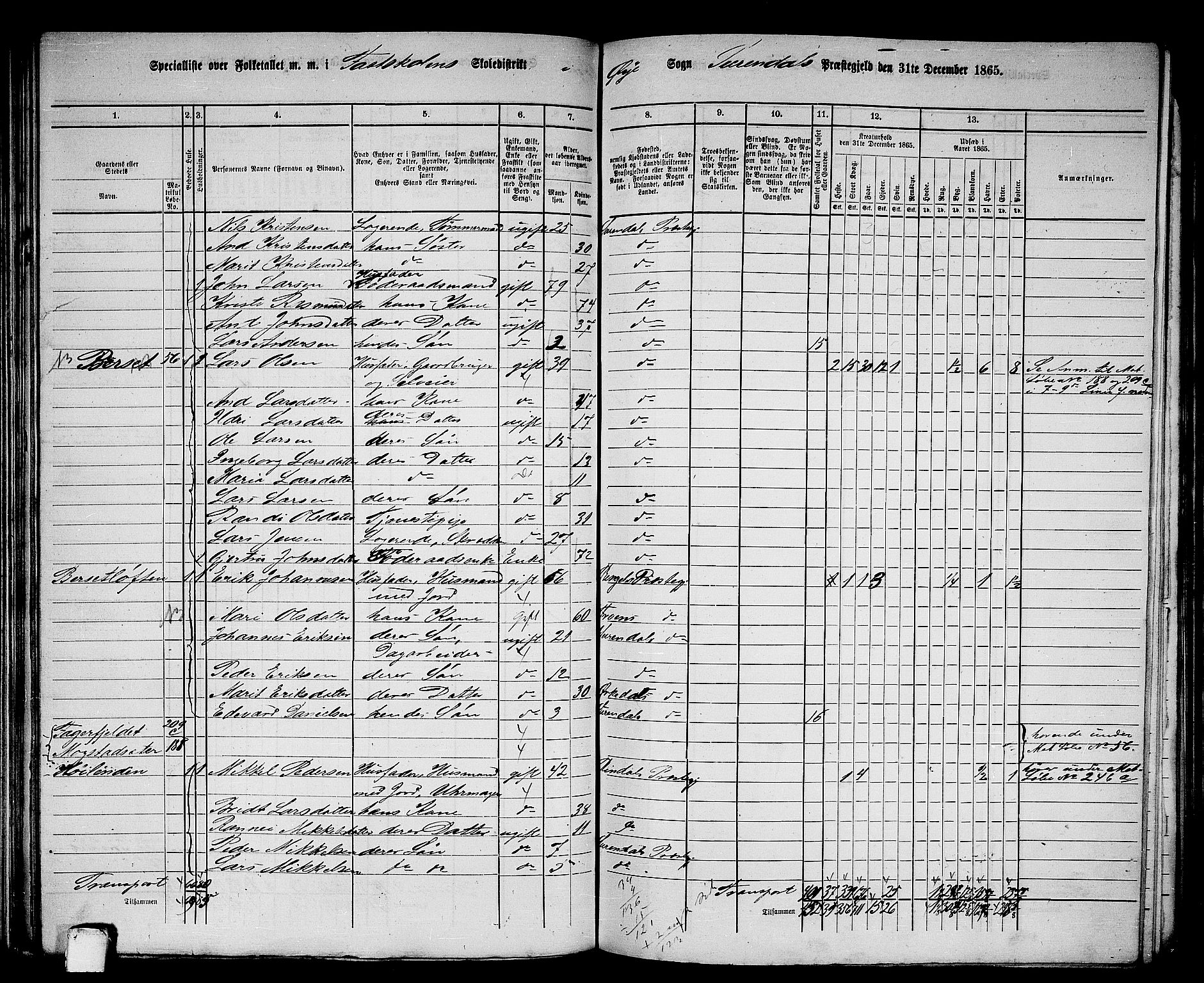 RA, 1865 census for Surnadal, 1865, p. 126