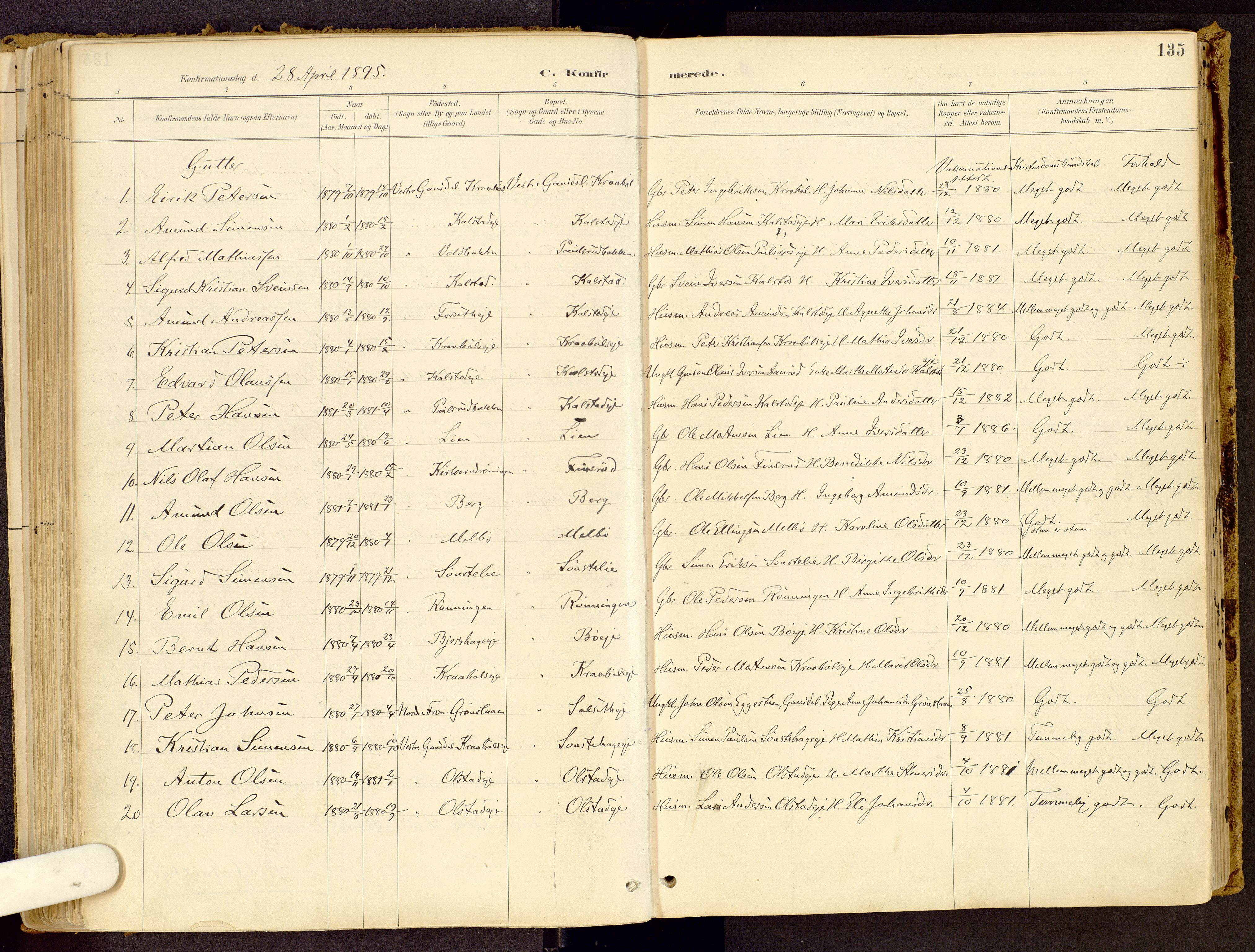 Vestre Gausdal prestekontor, SAH/PREST-094/H/Ha/Haa/L0001: Parish register (official) no. 1, 1887-1914, p. 135