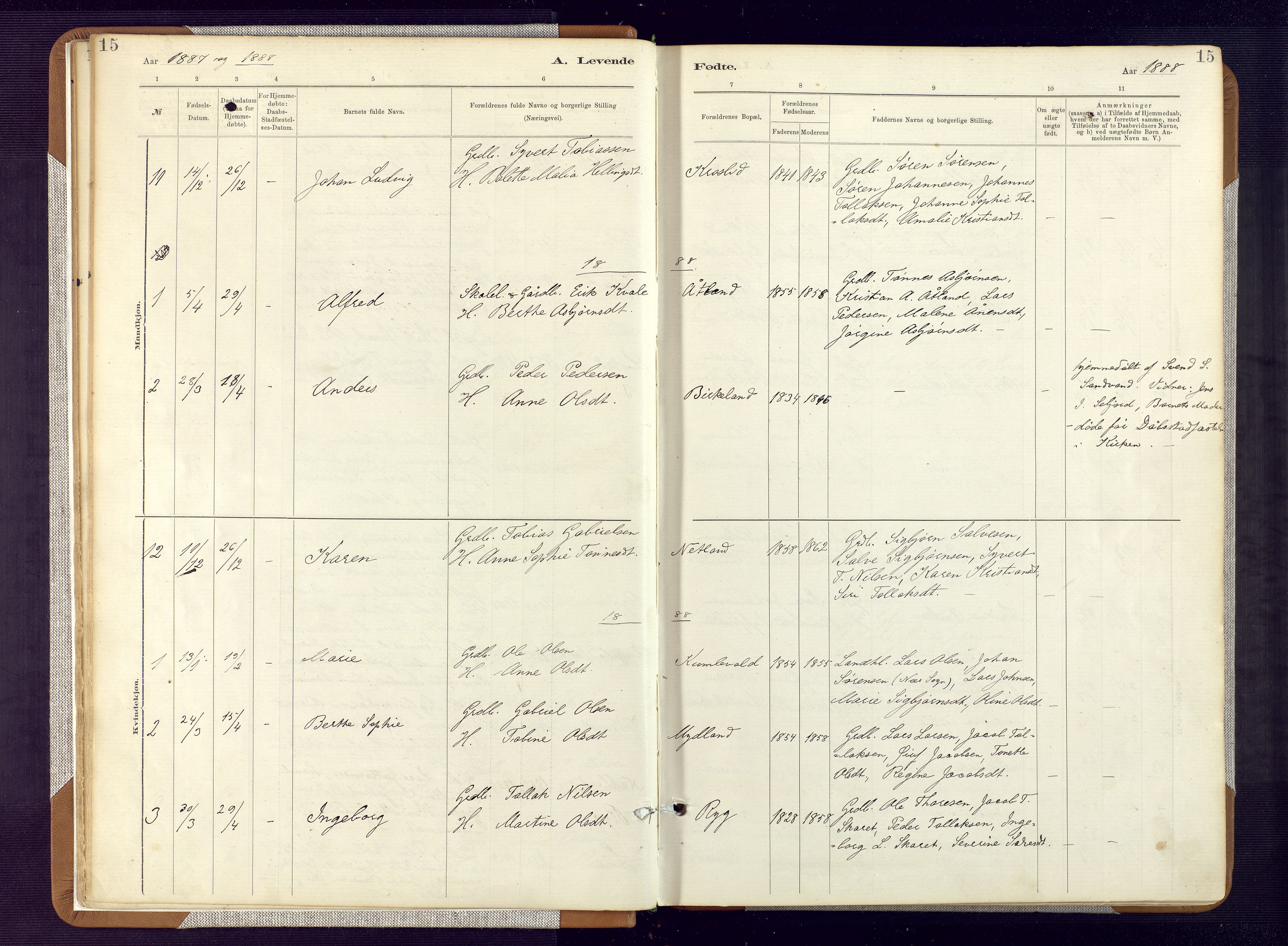 Bakke sokneprestkontor, SAK/1111-0002/F/Fa/Fab/L0003: Parish register (official) no. A 3, 1884-1921, p. 15
