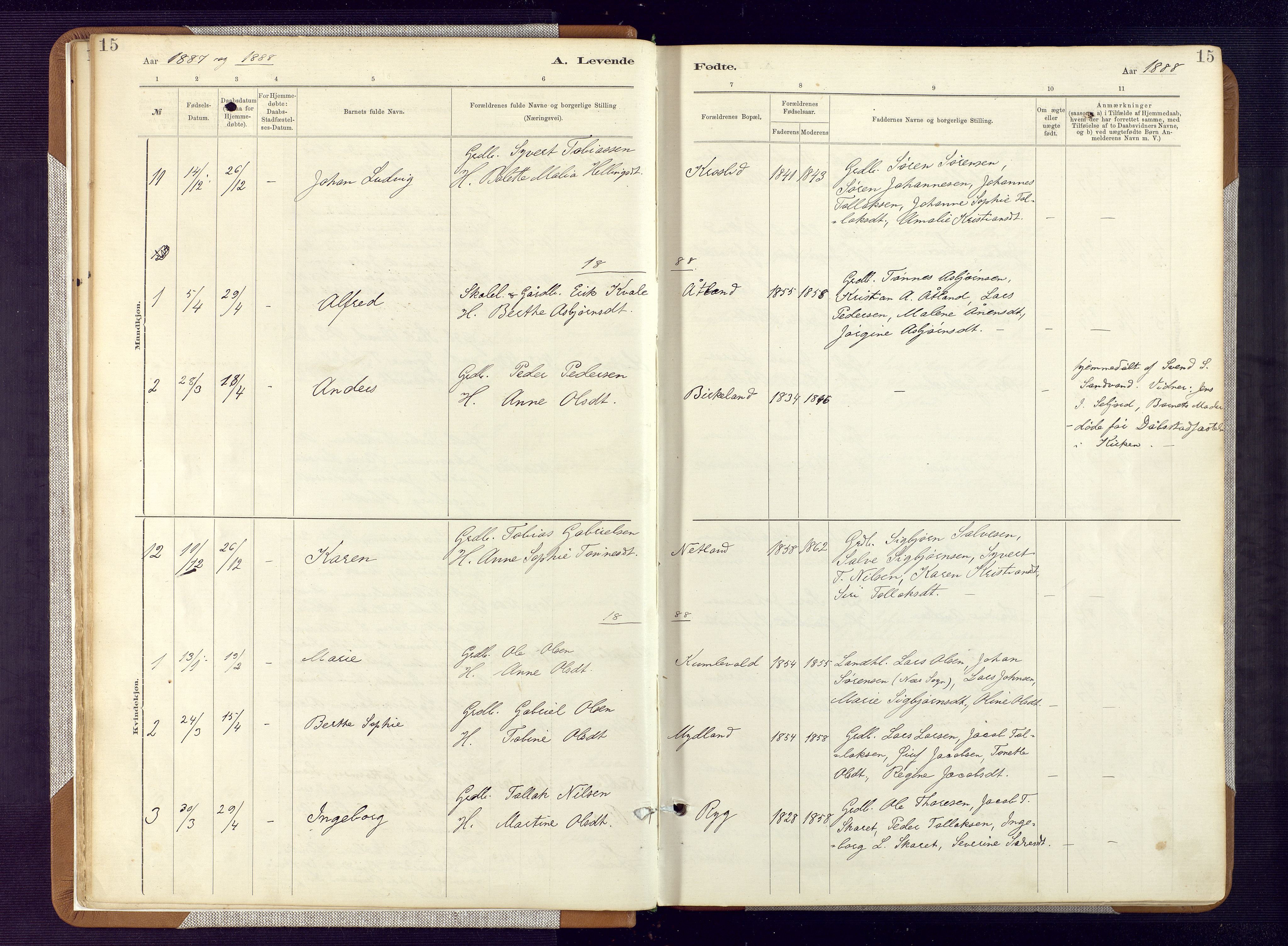 Bakke sokneprestkontor, AV/SAK-1111-0002/F/Fa/Fab/L0003: Parish register (official) no. A 3, 1884-1921, p. 15