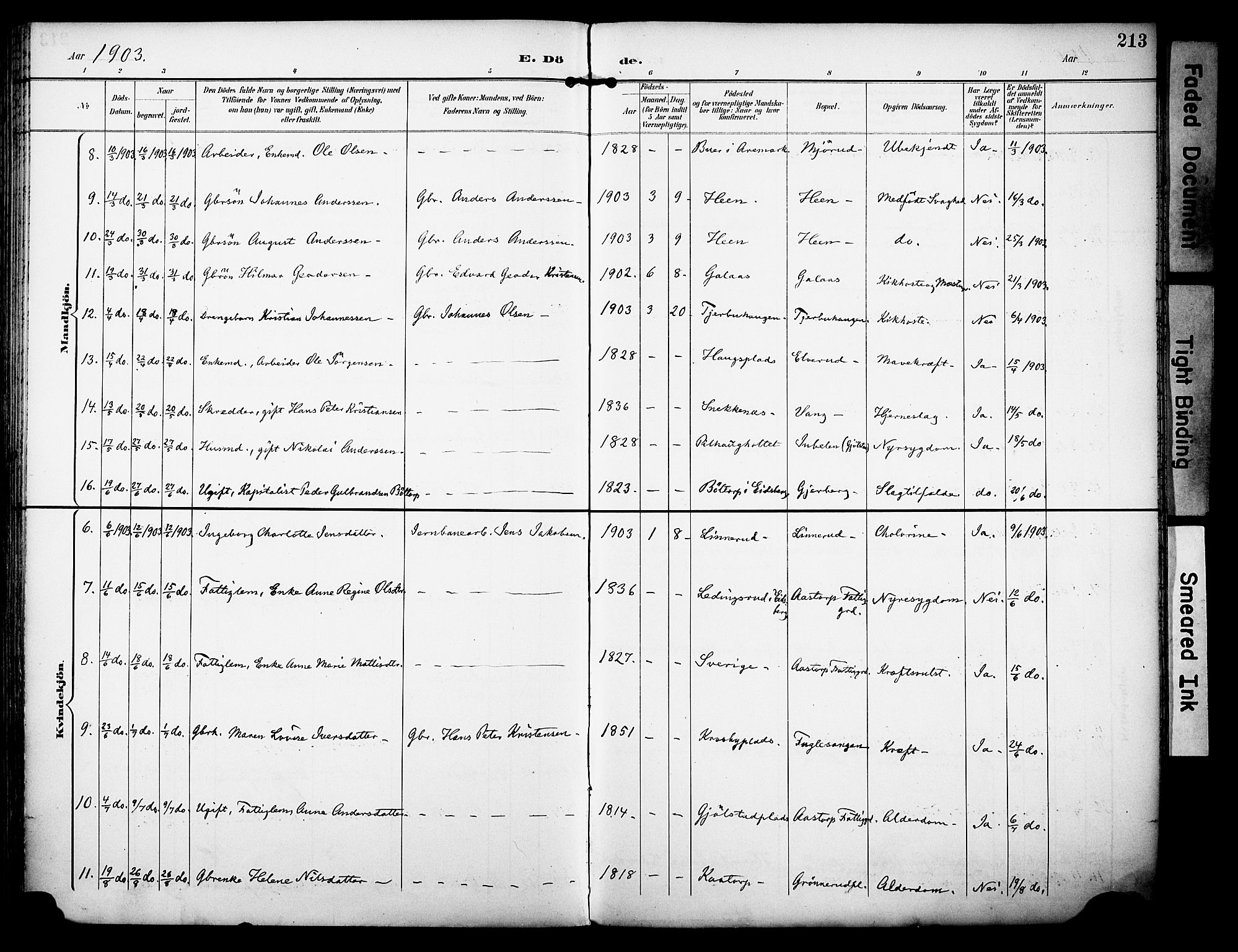 Rakkestad prestekontor Kirkebøker, AV/SAO-A-2008/F/Fa/L0013: Parish register (official) no. I 13, 1894-1908, p. 213