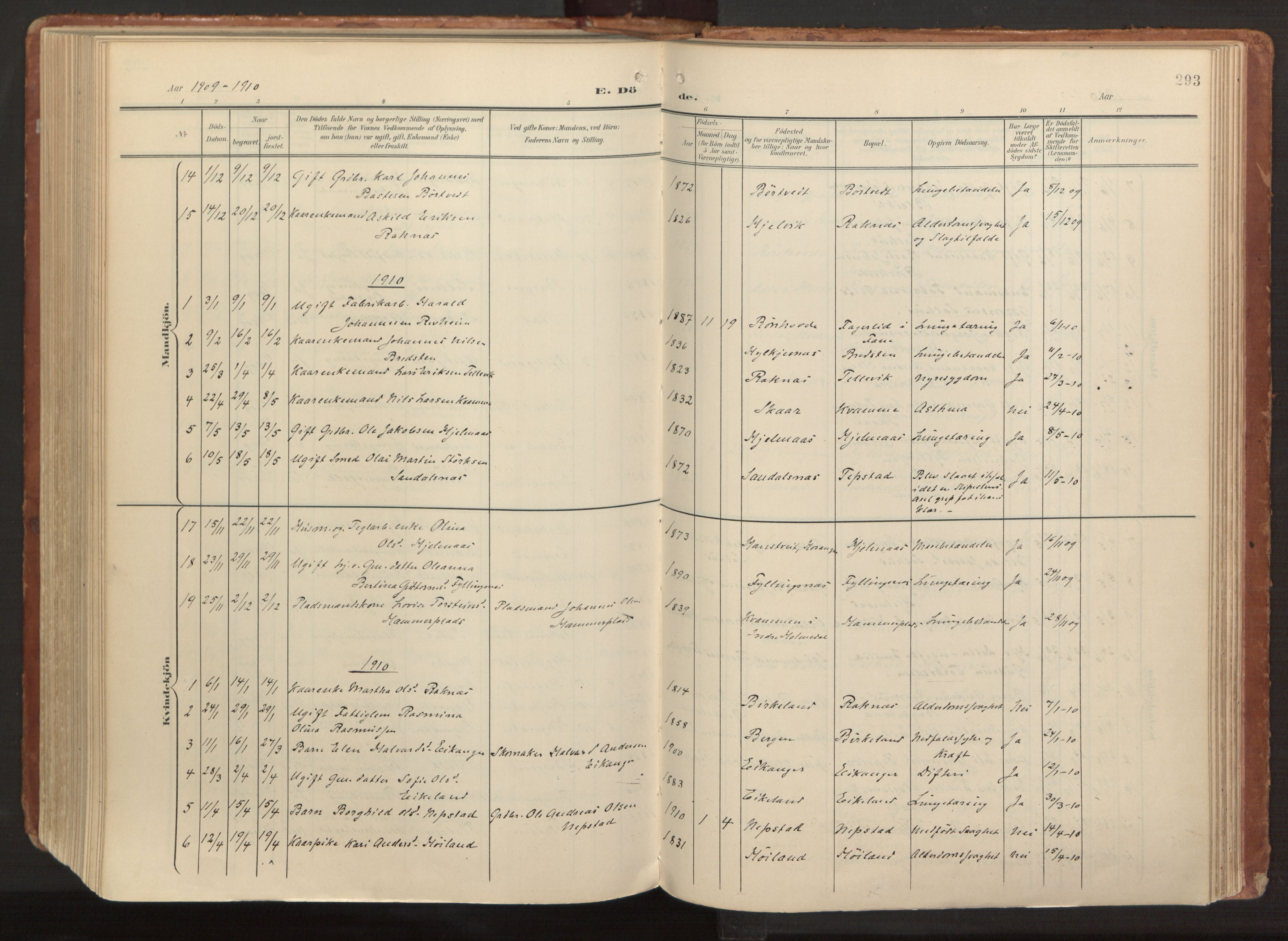 Hamre sokneprestembete, AV/SAB-A-75501/H/Ha/Haa/Haab/L0002: Parish register (official) no. B 2, 1905-1924, p. 293