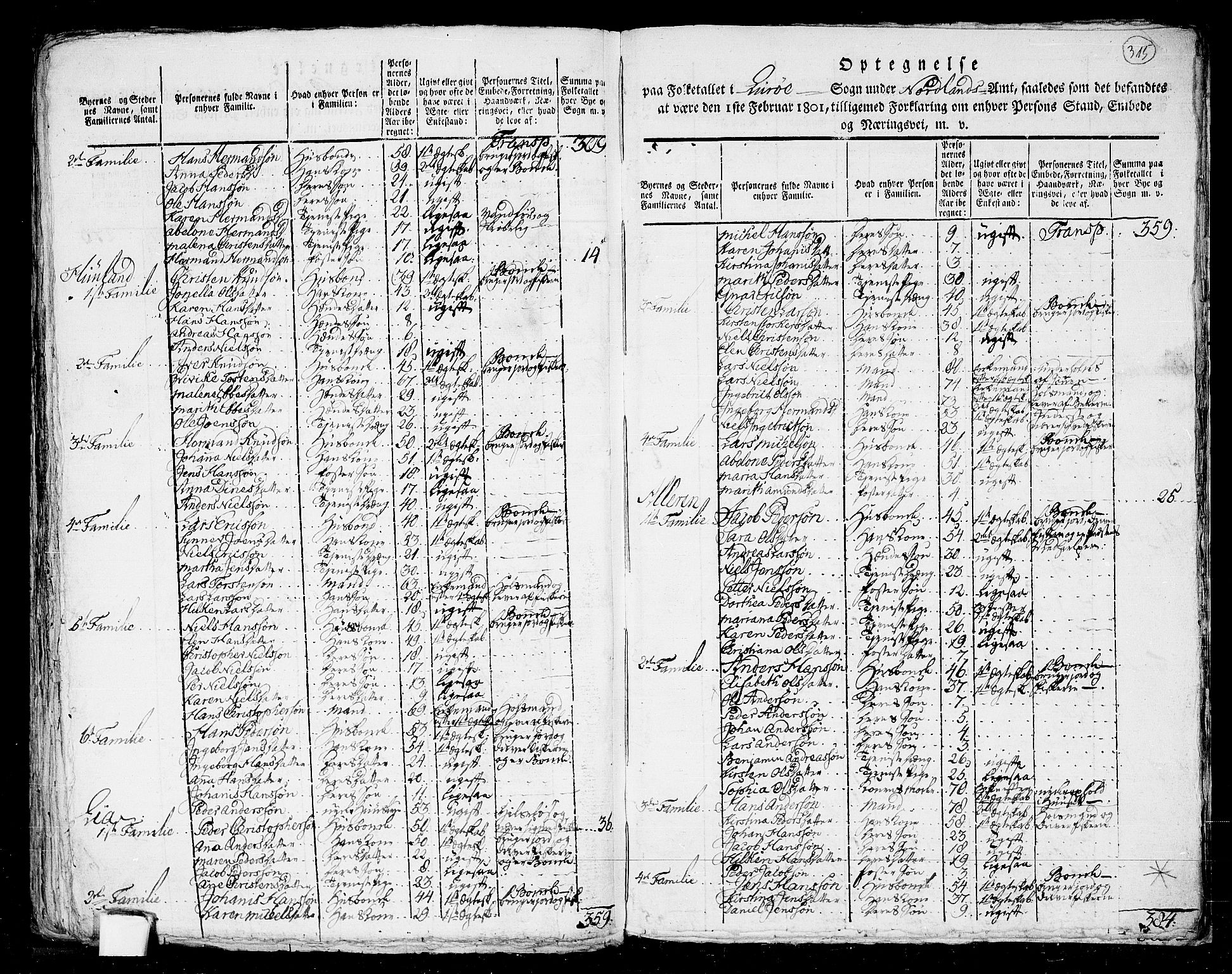 RA, 1801 census for 1836P Rødøy, 1801, p. 314b-315a