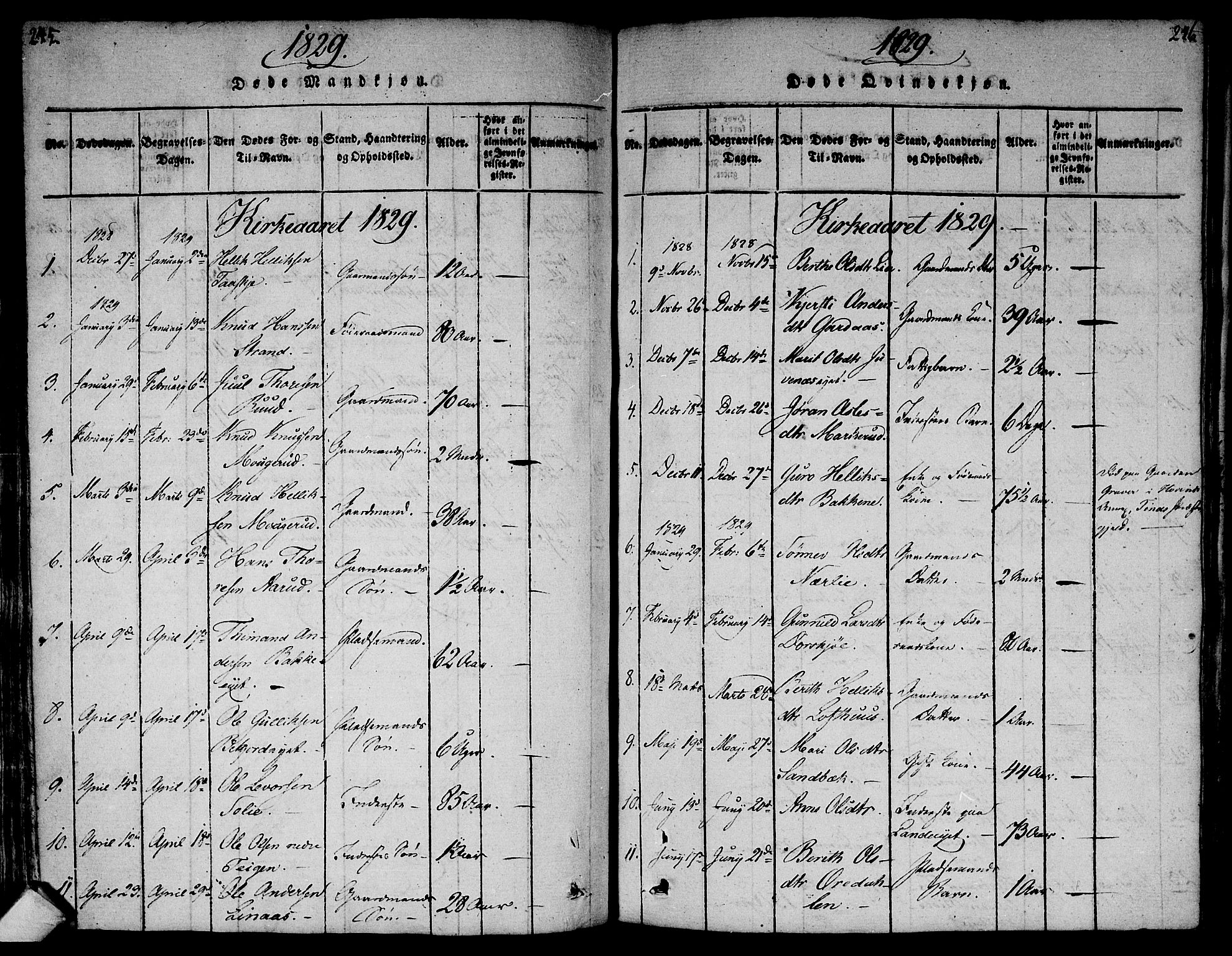 Flesberg kirkebøker, SAKO/A-18/F/Fa/L0005: Parish register (official) no. I 5, 1816-1834, p. 245-246