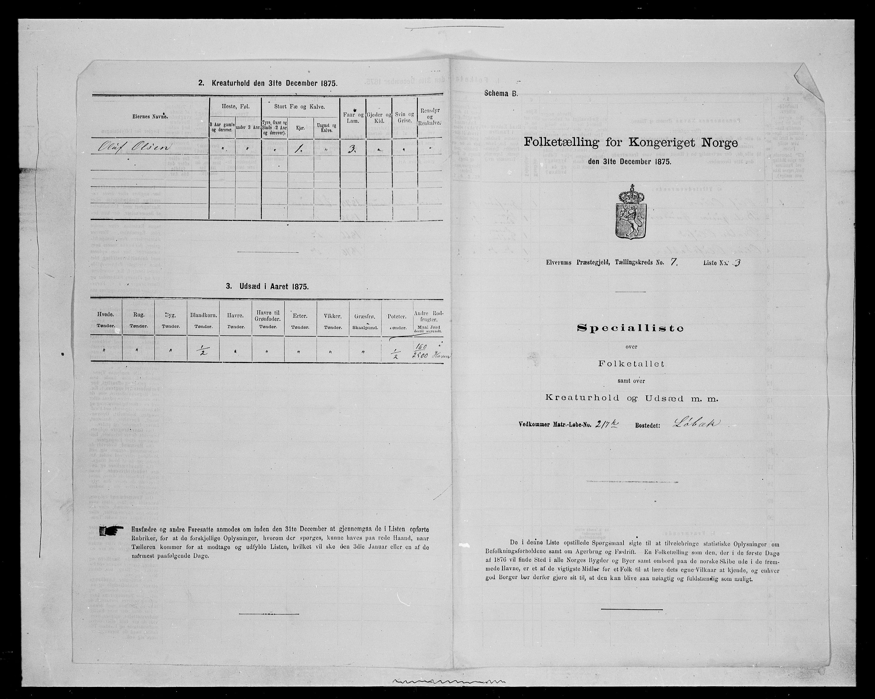 SAH, 1875 census for 0427P Elverum, 1875, p. 1488