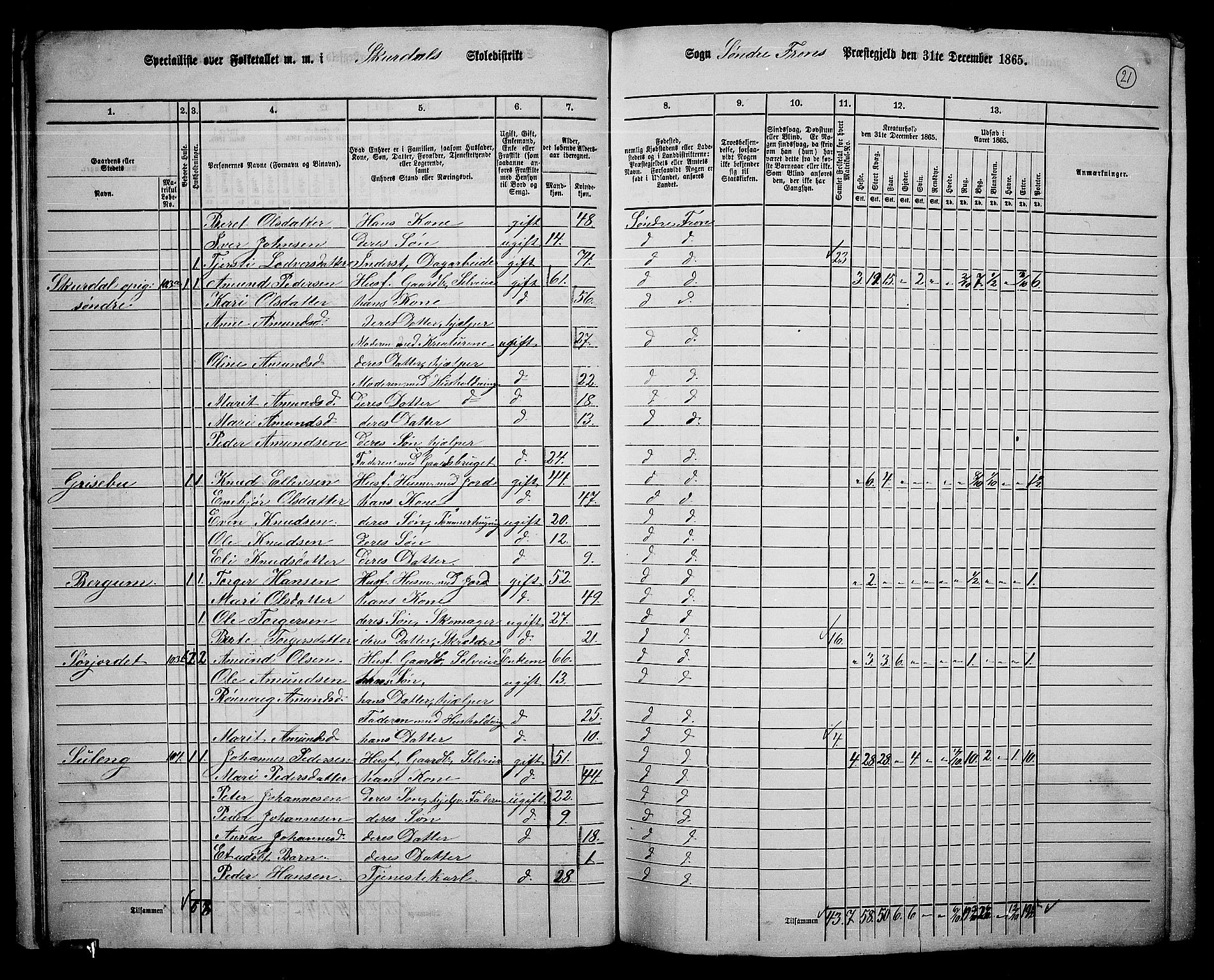 RA, 1865 census for Sør-Fron, 1865, p. 20