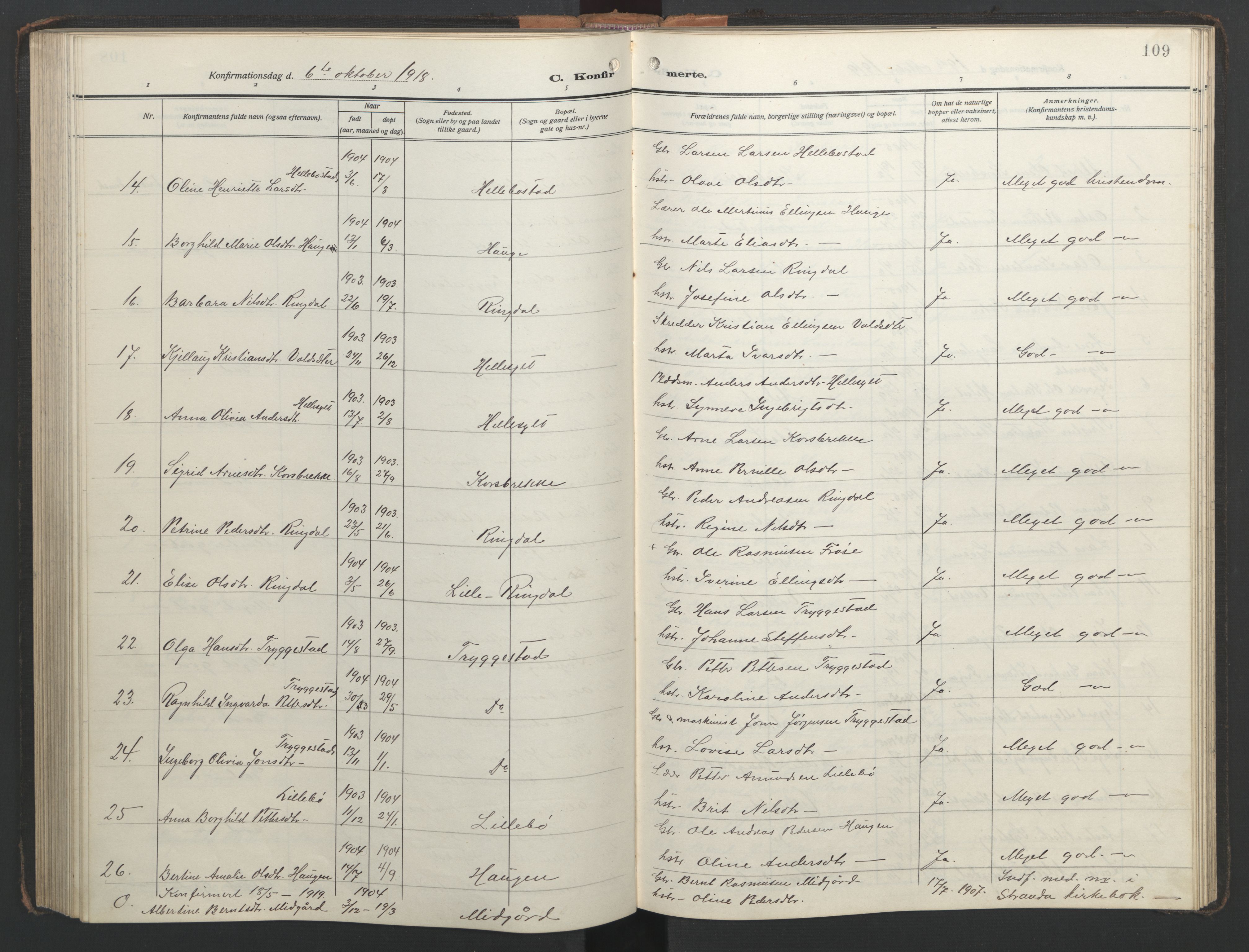 Ministerialprotokoller, klokkerbøker og fødselsregistre - Møre og Romsdal, SAT/A-1454/517/L0232: Parish register (copy) no. 517C05, 1910-1946, p. 109