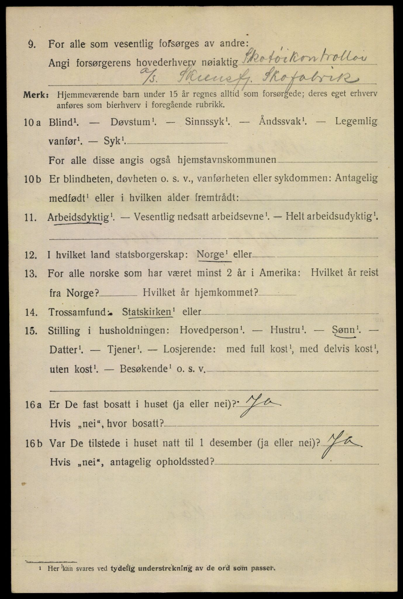 SAKO, 1920 census for Skien, 1920, p. 45737