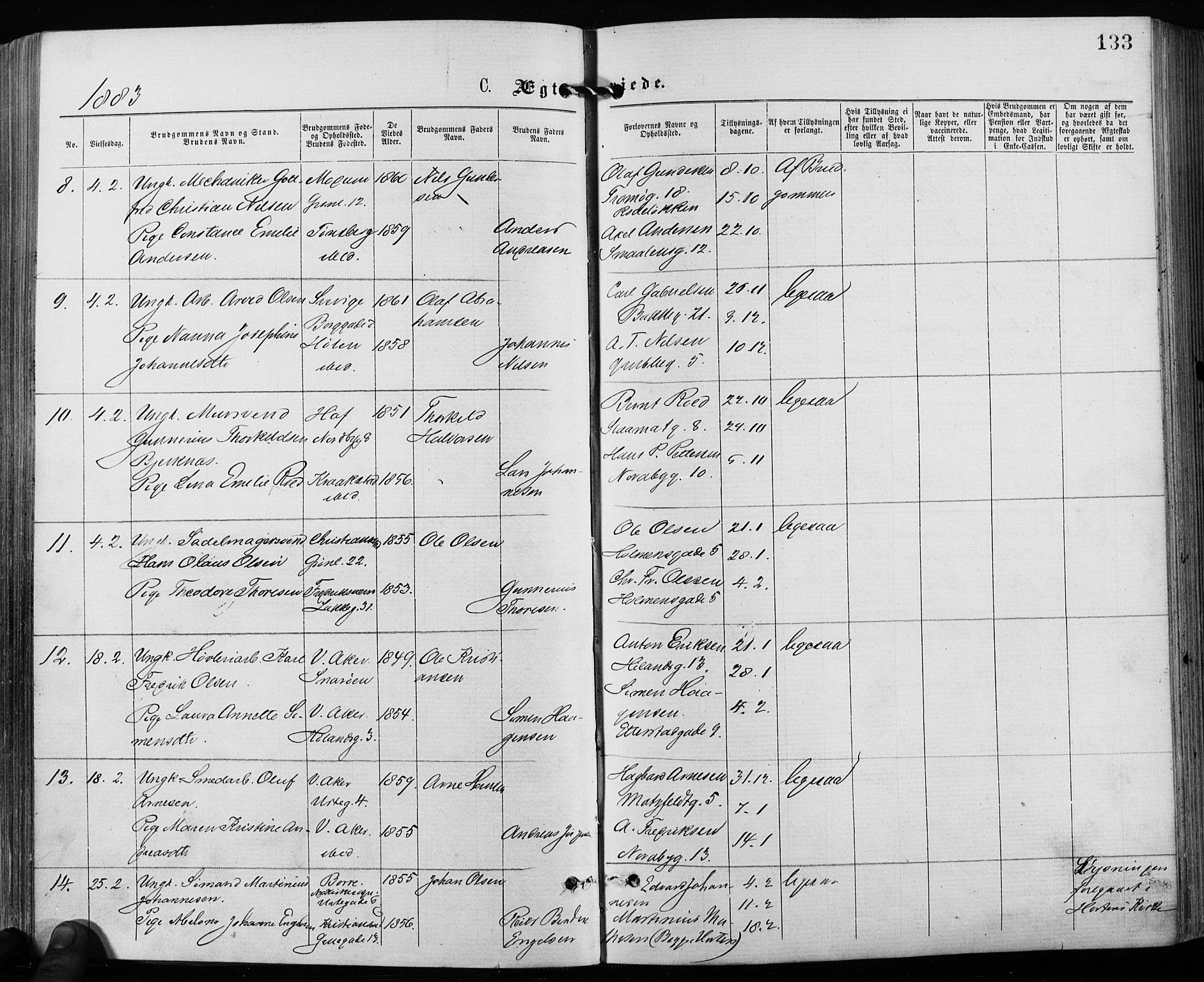 Grønland prestekontor Kirkebøker, AV/SAO-A-10848/F/Fa/L0006: Parish register (official) no. 6, 1877-1886, p. 133