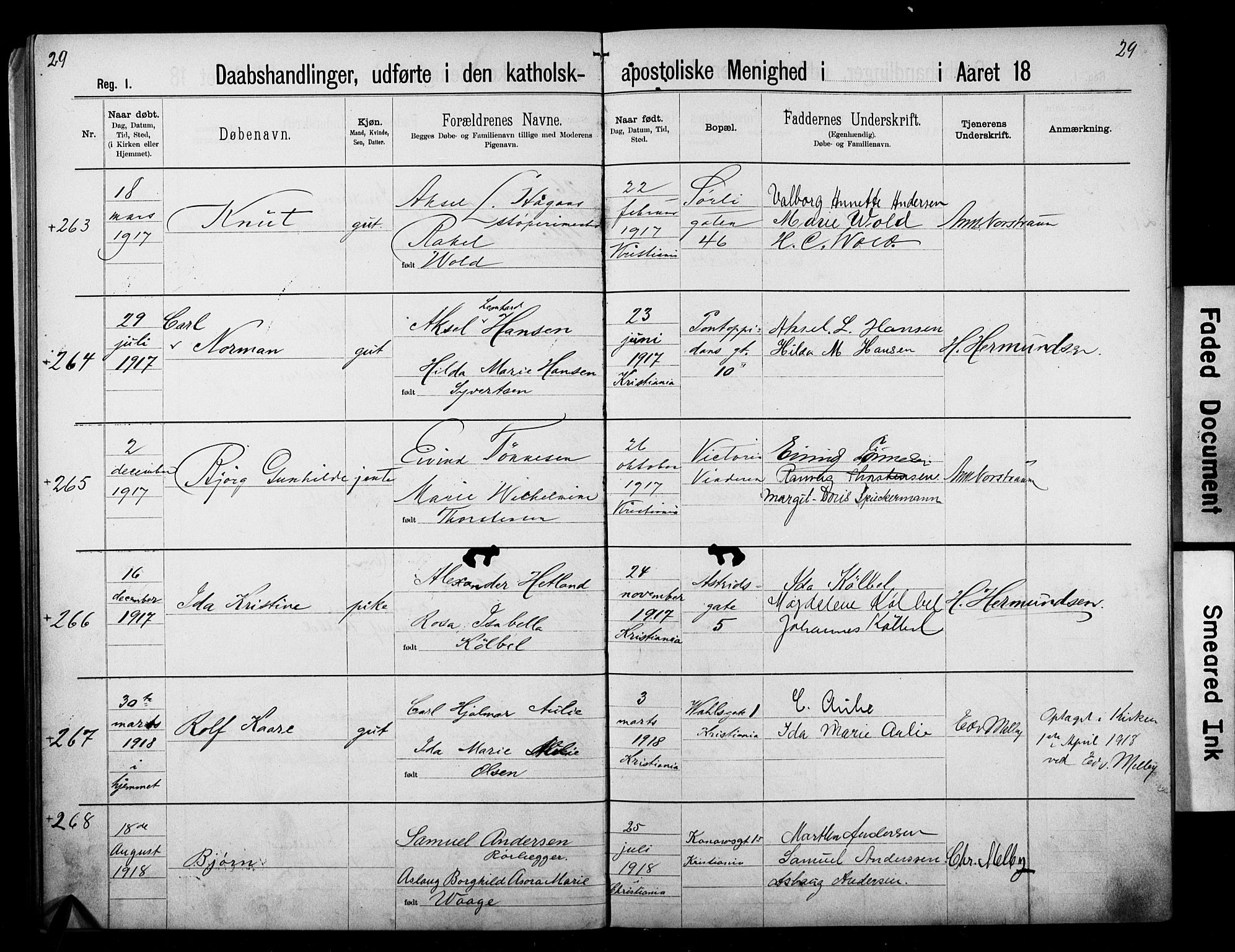 Den katolsk apostoliske menighet i Oslo , SAO/PAO-0214/F/Fb/L0002: Dissenter register no. 2, 1894-1919, p. 29