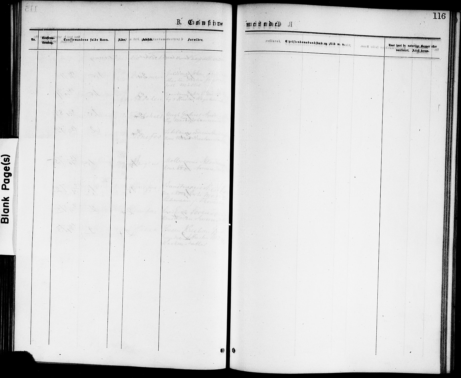 Hønefoss kirkebøker, AV/SAKO-A-609/F/Fa/L0001: Parish register (official) no. 1, 1875-1887, p. 116