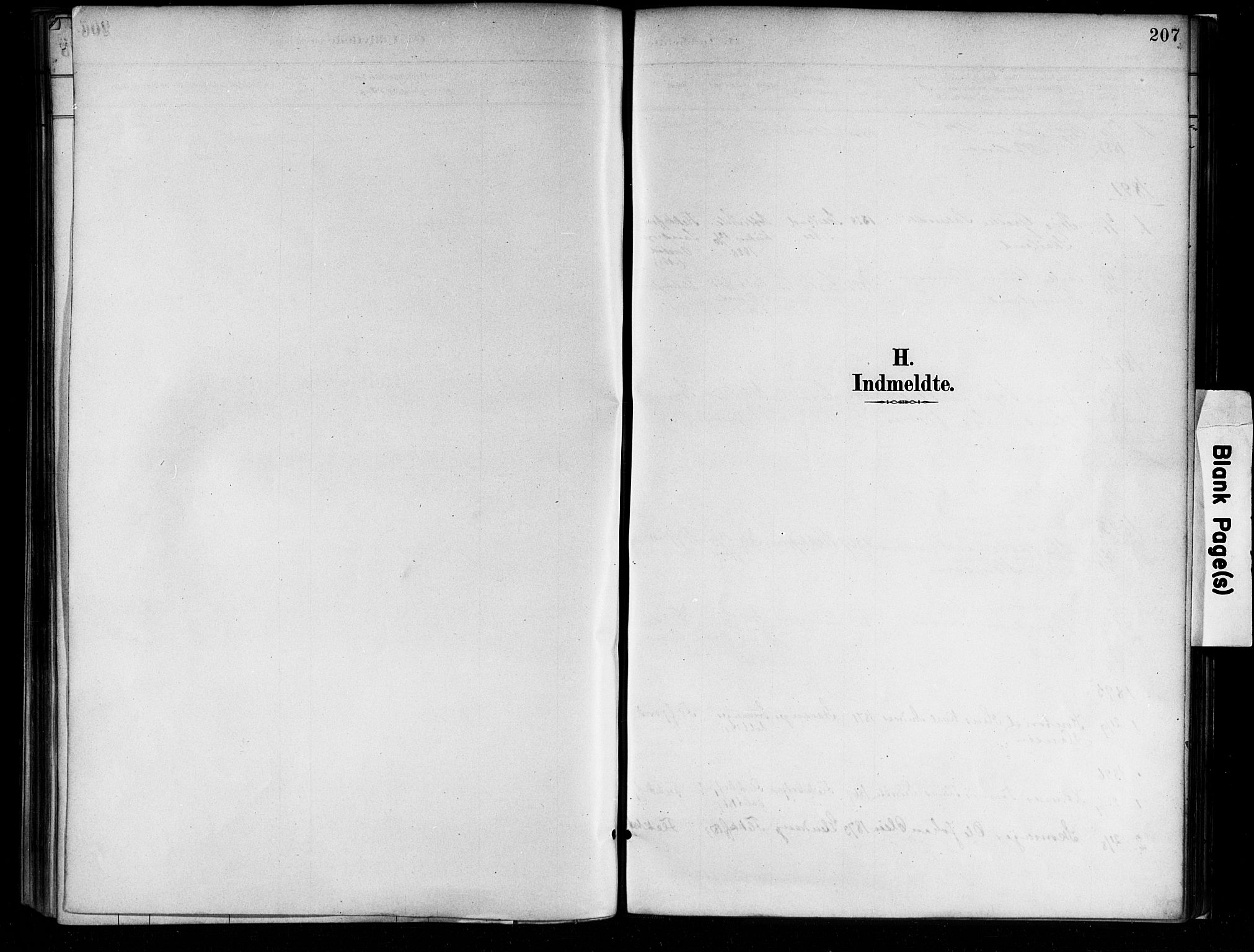 Flekkefjord sokneprestkontor, SAK/1111-0012/F/Fa/Faa/L0001: Parish register (official) no. A 1, 1885-1900, p. 207