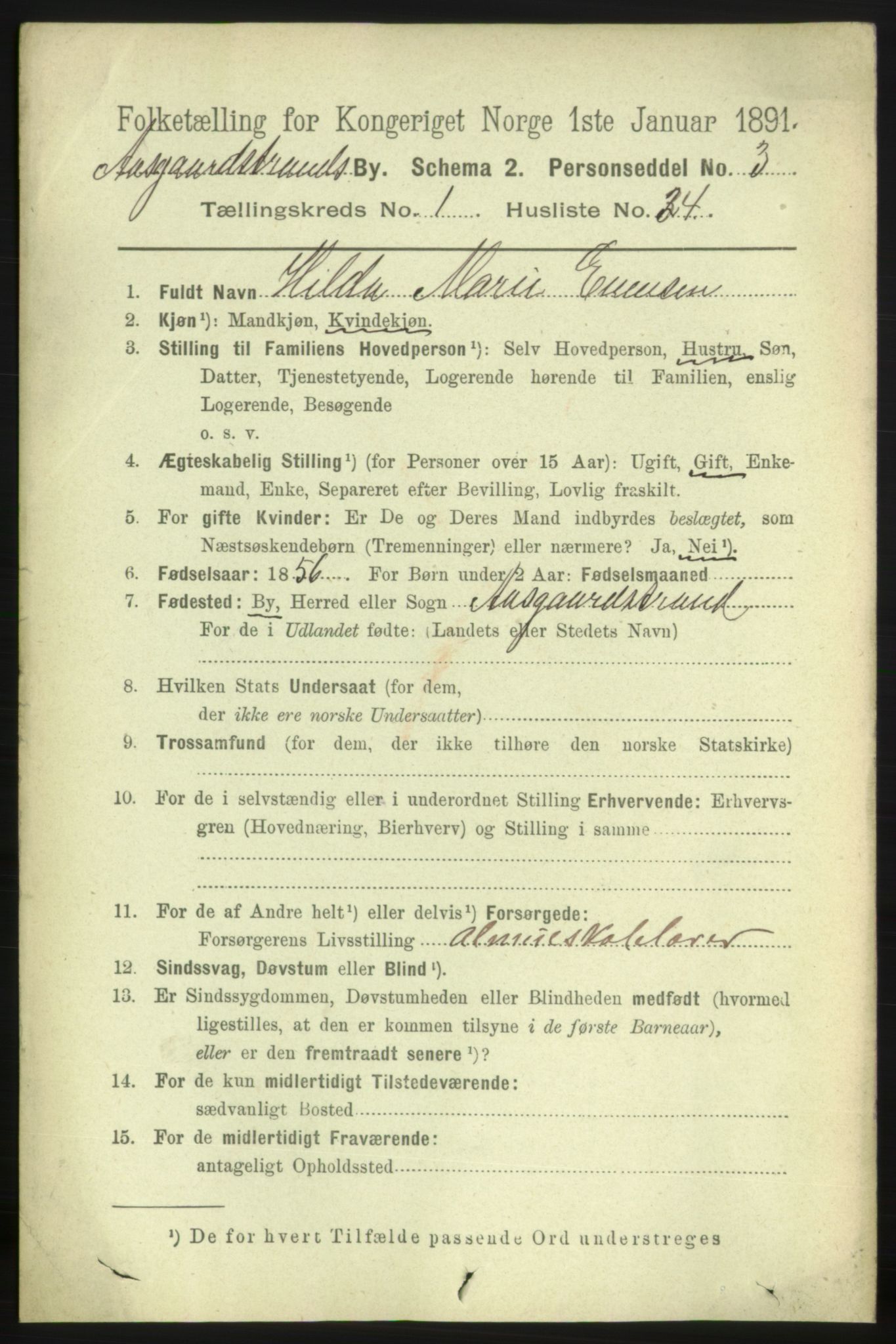 RA, 1891 census for 0704 Åsgårdstrand, 1891, p. 393