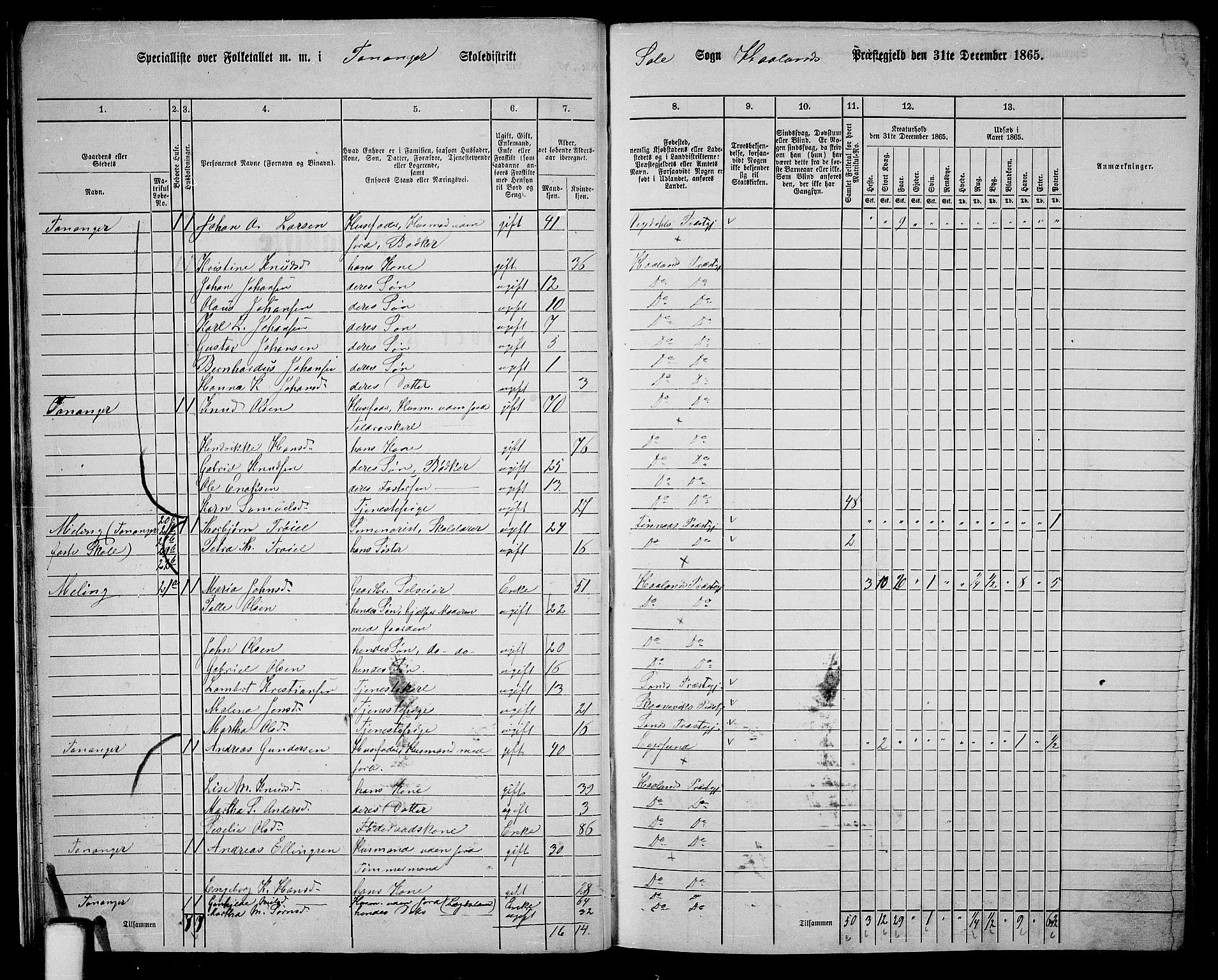 RA, 1865 census for Håland, 1865, p. 25