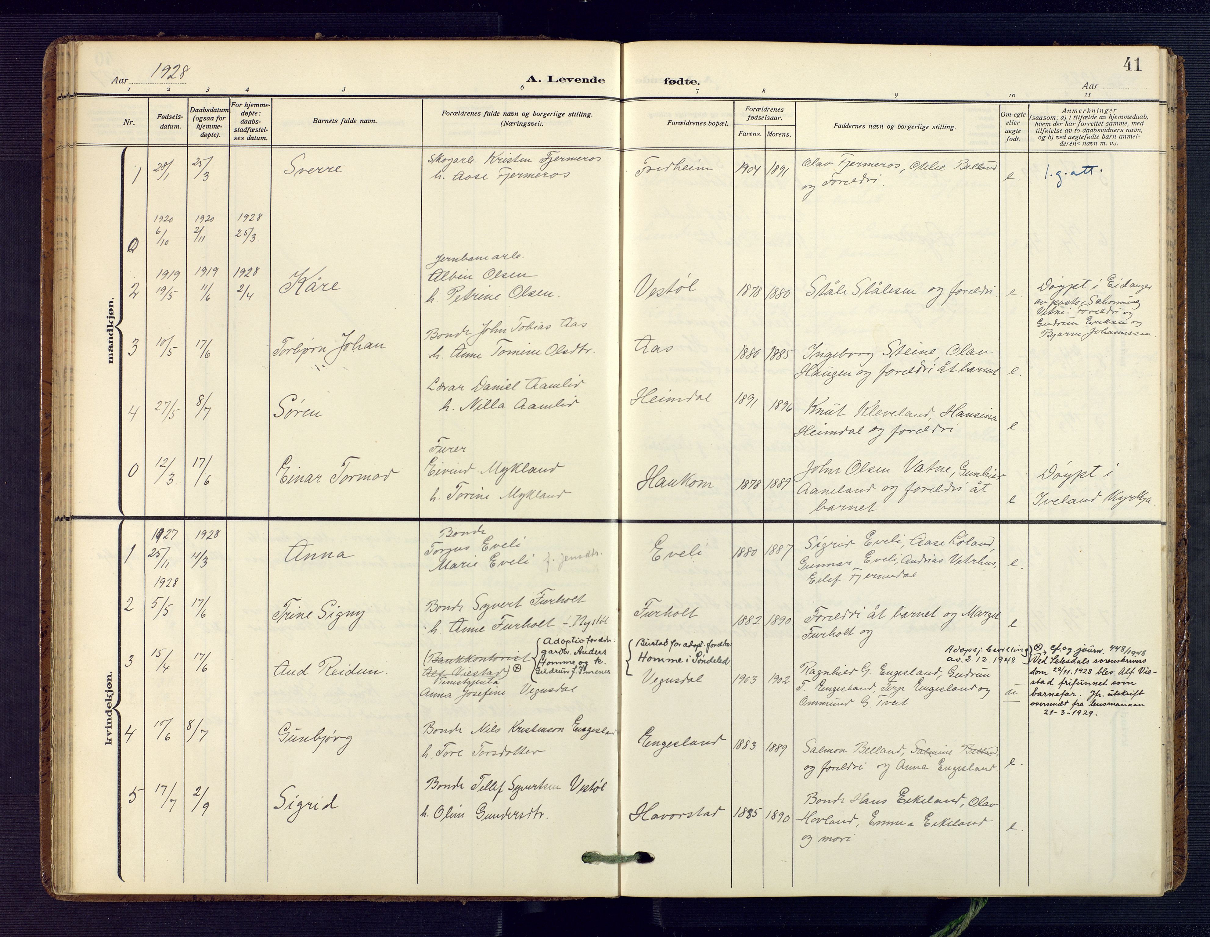 Herefoss sokneprestkontor, SAK/1111-0019/F/Fa/Fab/L0005: Parish register (official) no. A 5, 1910-1932, p. 41
