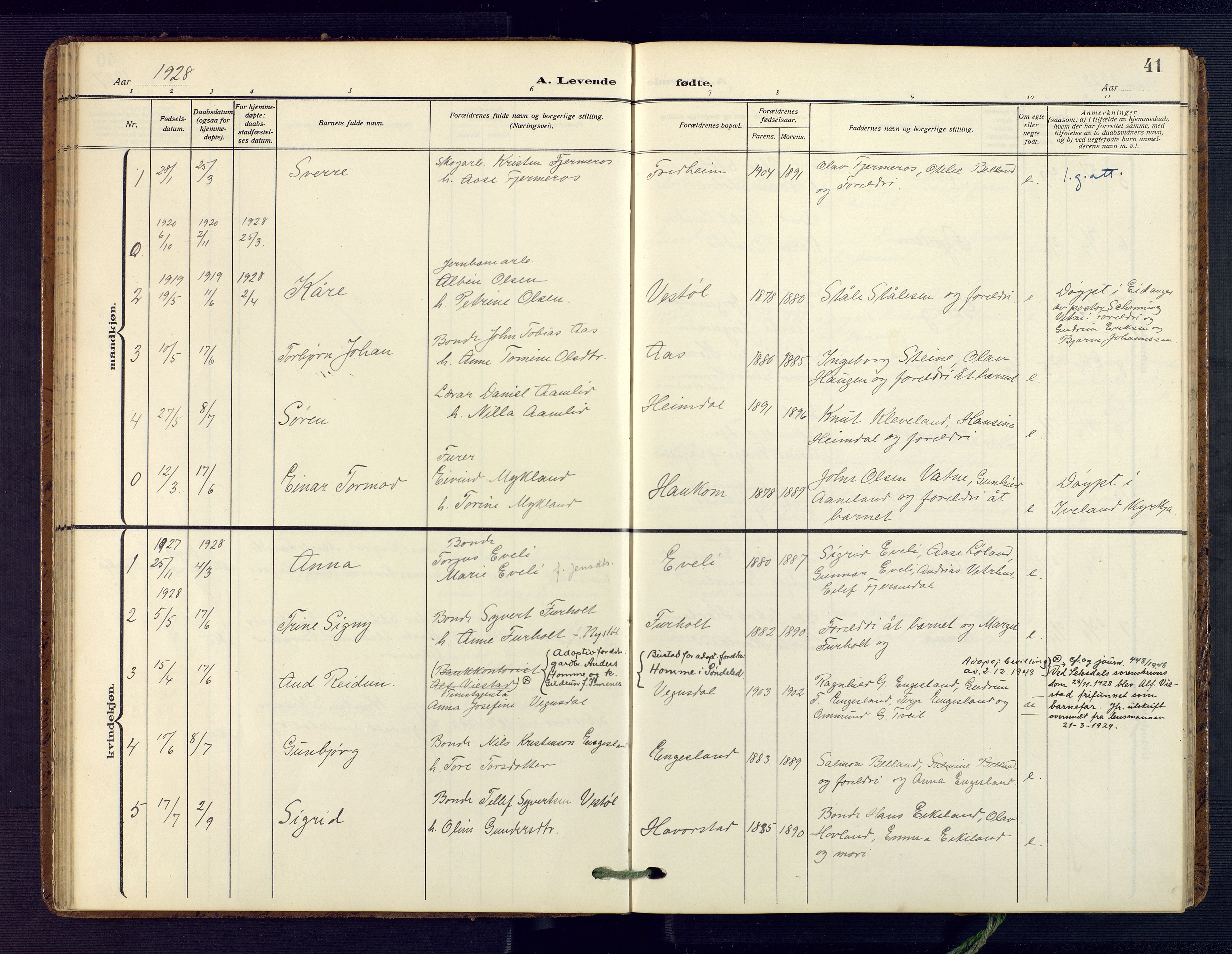 Herefoss sokneprestkontor, AV/SAK-1111-0019/F/Fa/Fab/L0005: Parish register (official) no. A 5, 1910-1932, p. 41