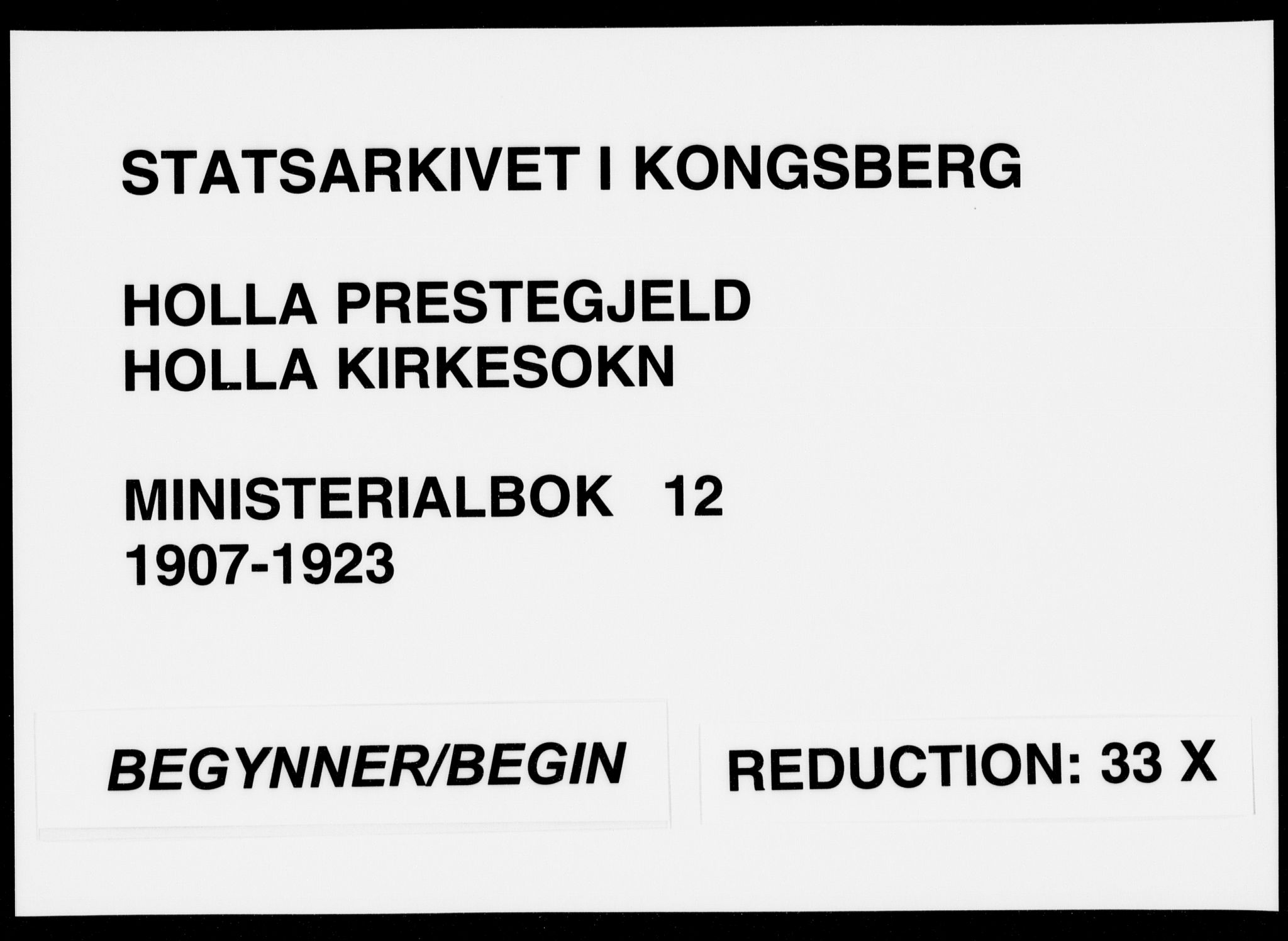 Holla kirkebøker, AV/SAKO-A-272/F/Fa/L0012: Parish register (official) no. 12, 1907-1923