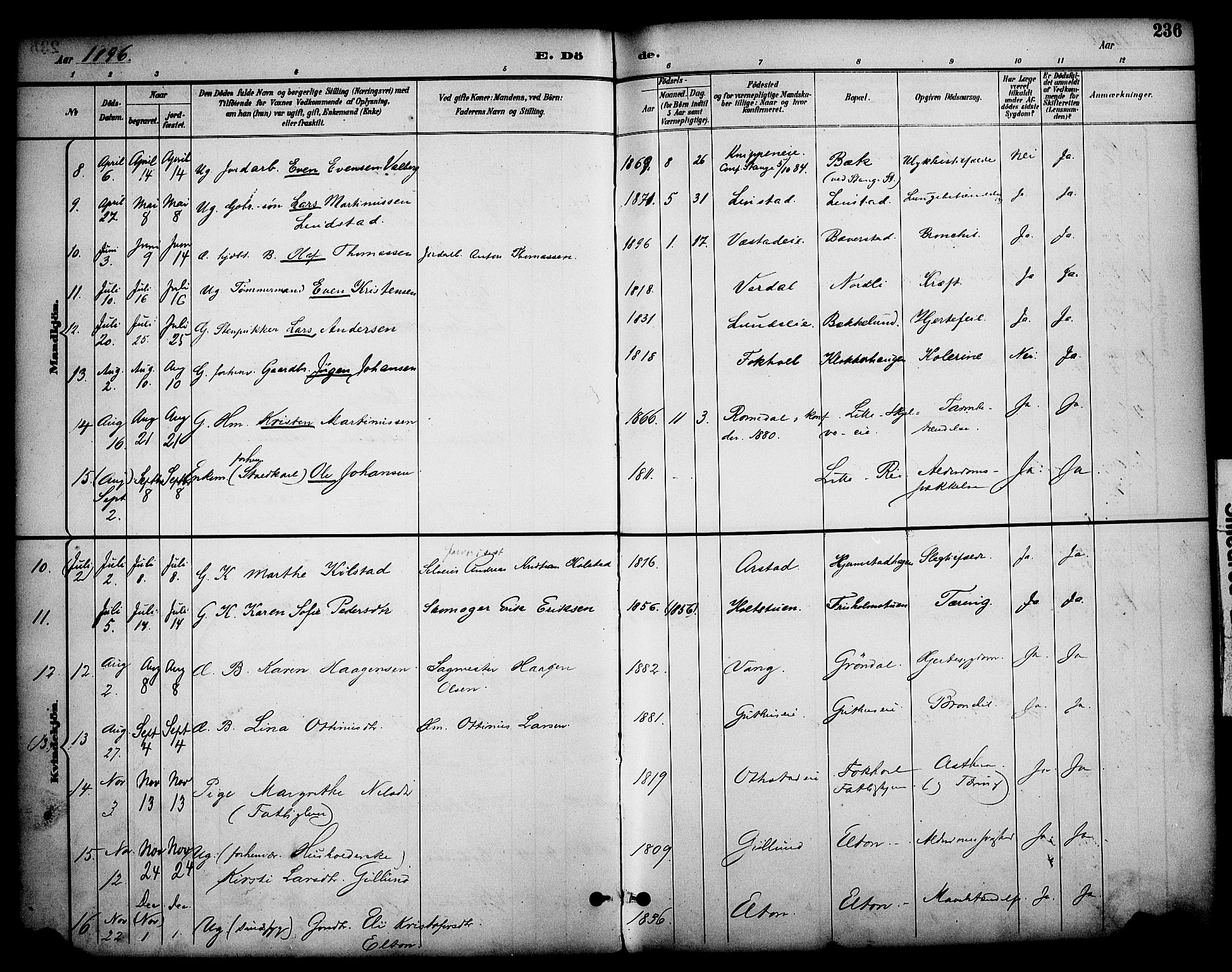 Stange prestekontor, AV/SAH-PREST-002/K/L0020: Parish register (official) no. 20, 1894-1905, p. 236