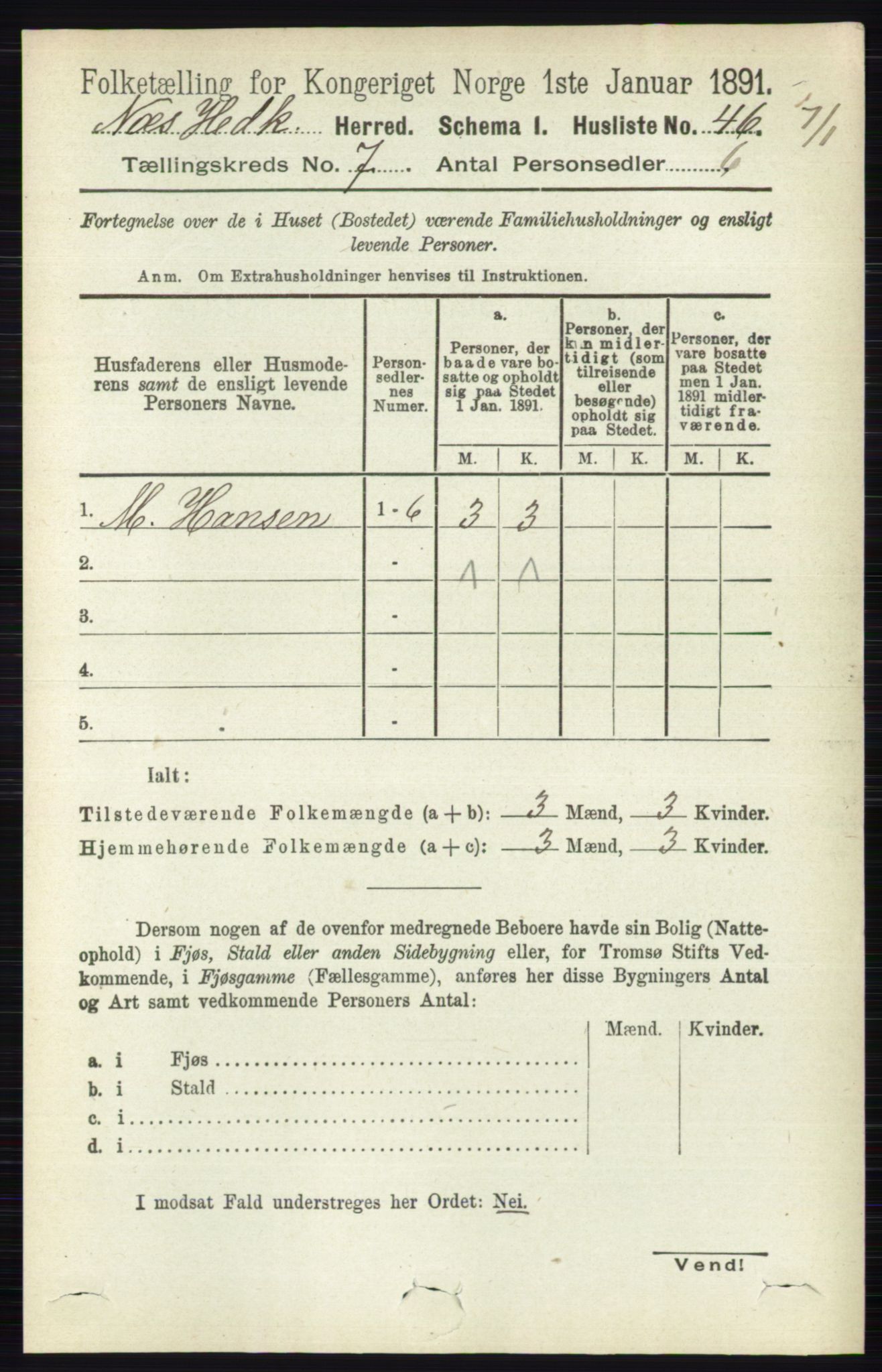 RA, 1891 census for 0411 Nes, 1891, p. 3874