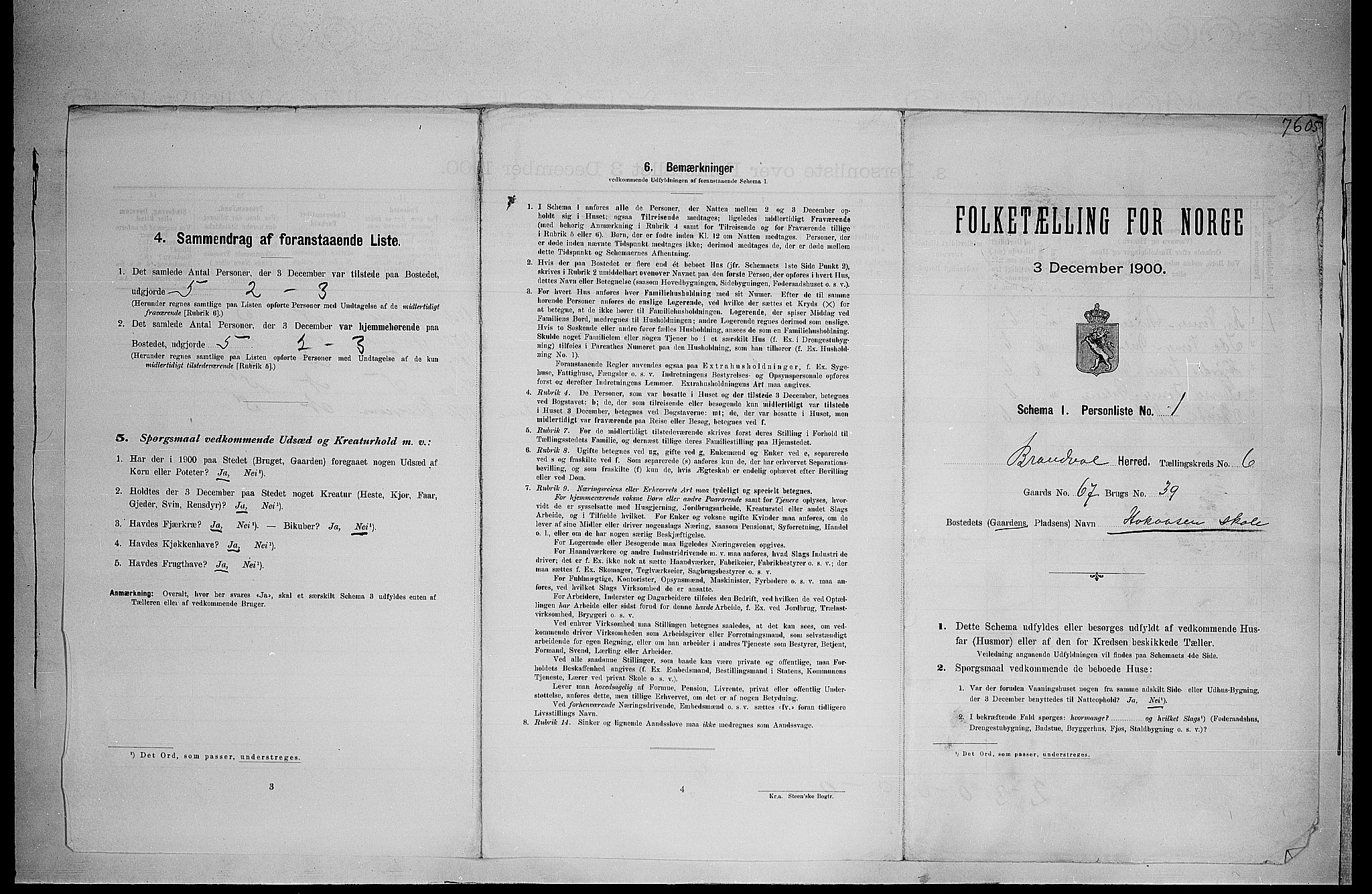 SAH, 1900 census for Brandval, 1900, p. 729