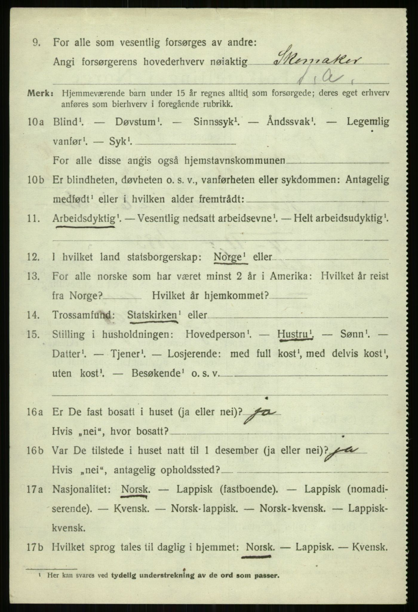 SATØ, 1920 census for Tromsøysund, 1920, p. 7213