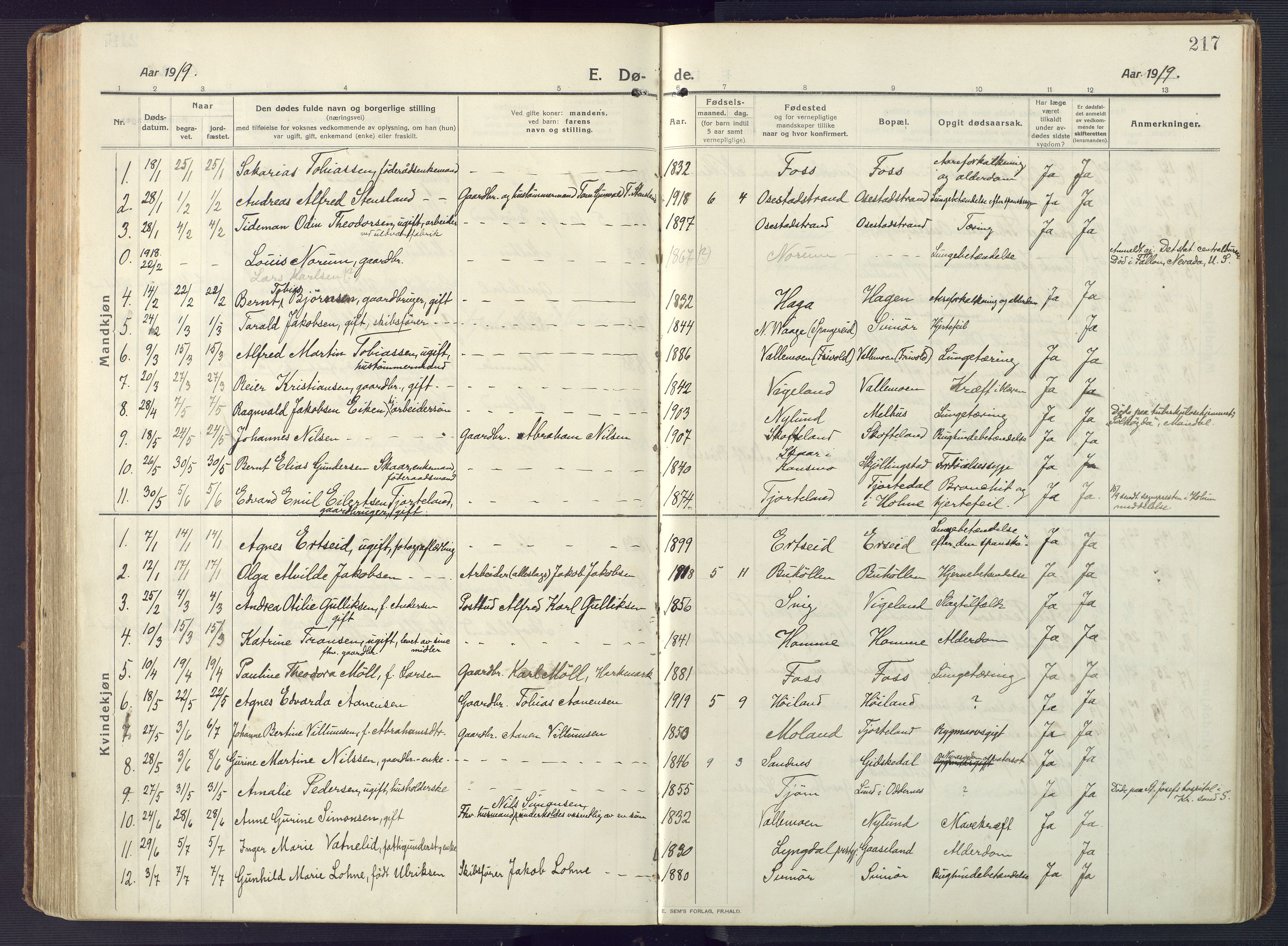 Sør-Audnedal sokneprestkontor, AV/SAK-1111-0039/F/Fa/Fab/L0011: Parish register (official) no. A 11, 1912-1938, p. 217