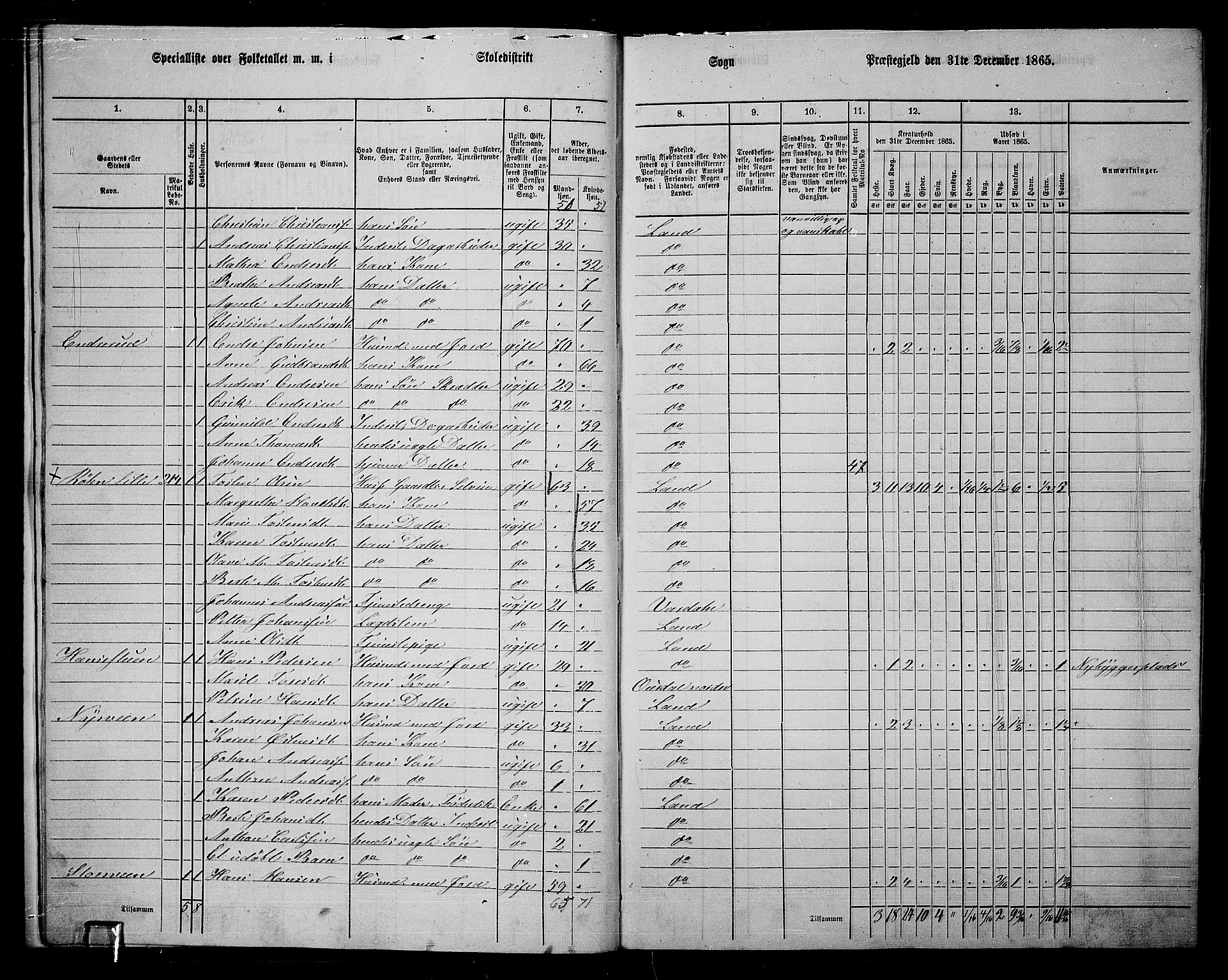 RA, 1865 census for Land, 1865, p. 221