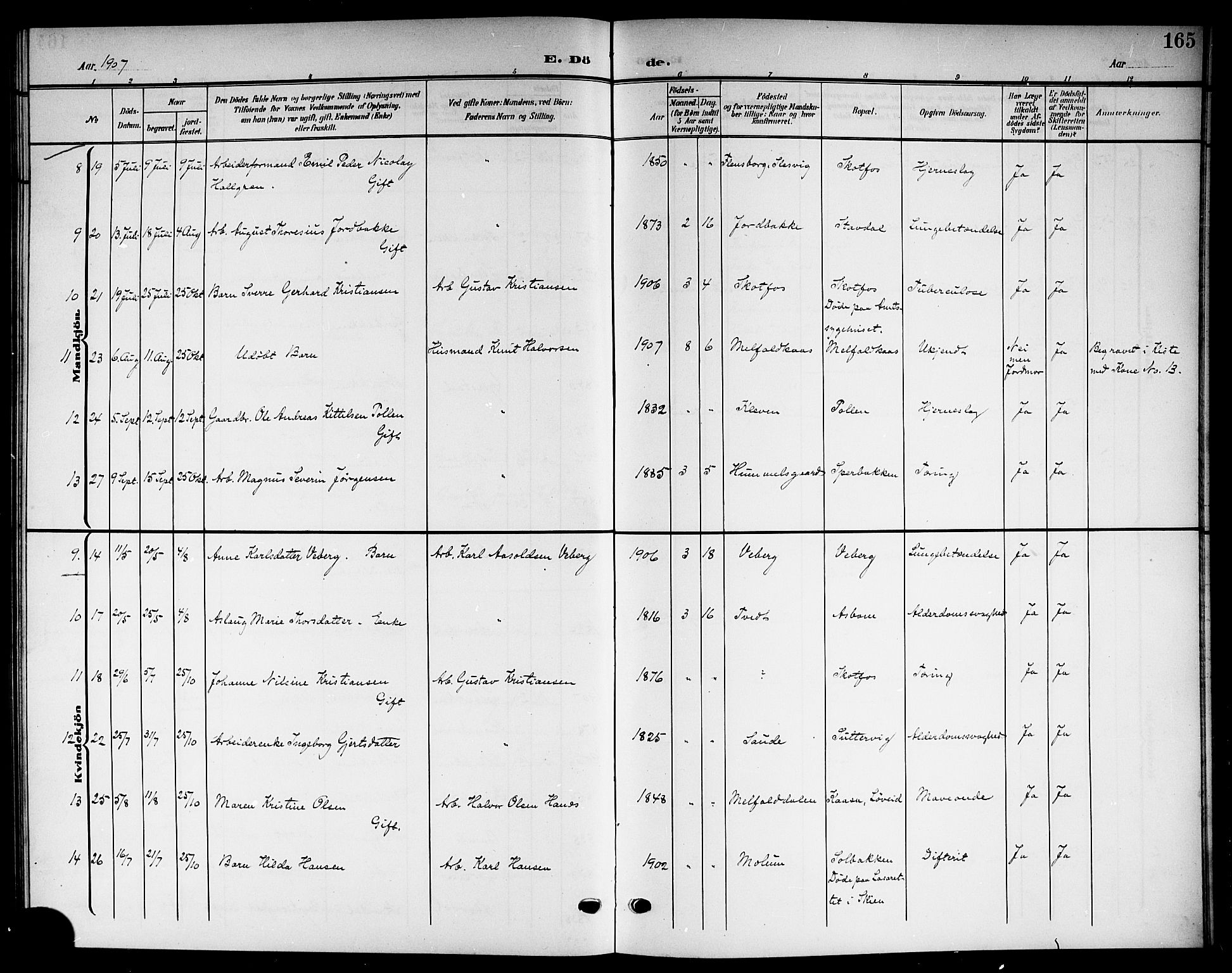 Solum kirkebøker, SAKO/A-306/G/Gb/L0005: Parish register (copy) no. II 5, 1905-1914, p. 165