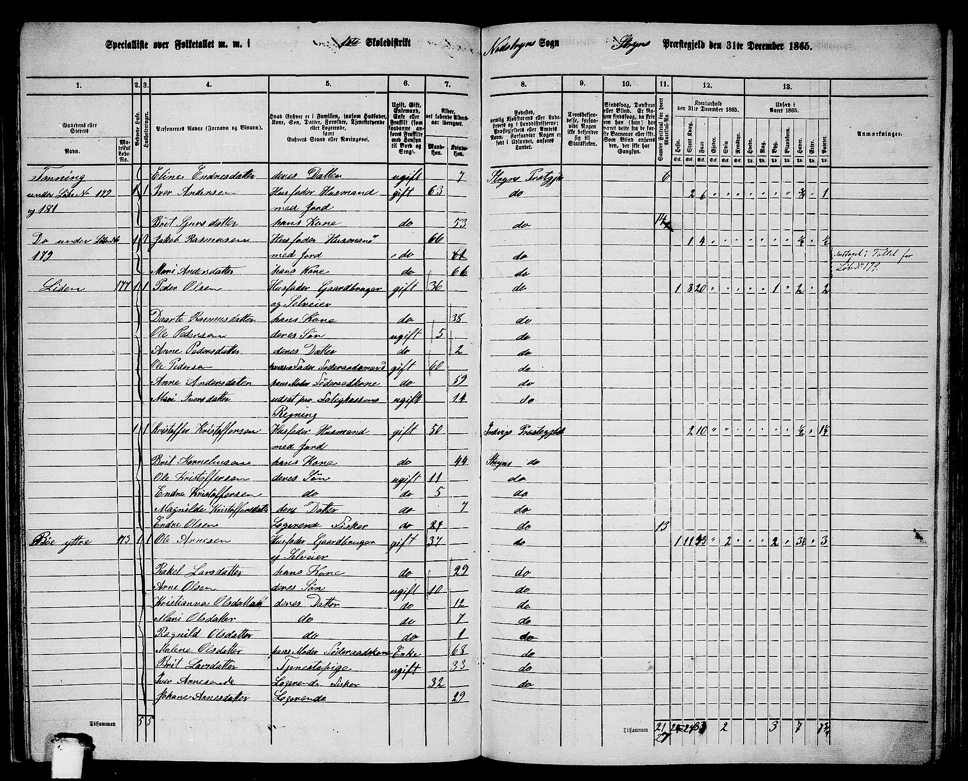 RA, 1865 census for Stryn, 1865, p. 61