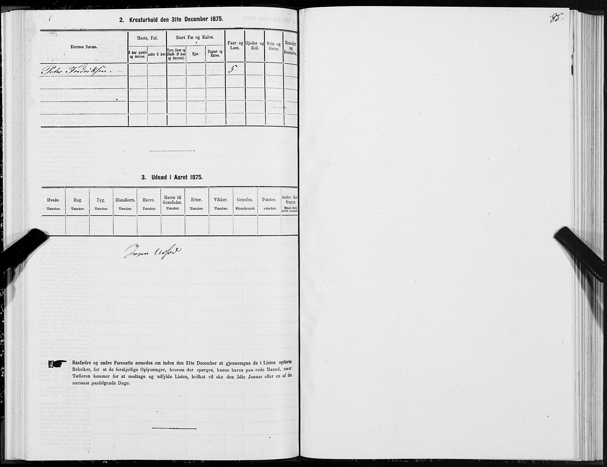 SAT, 1875 census for 1531P Borgund, 1875, p. 5085