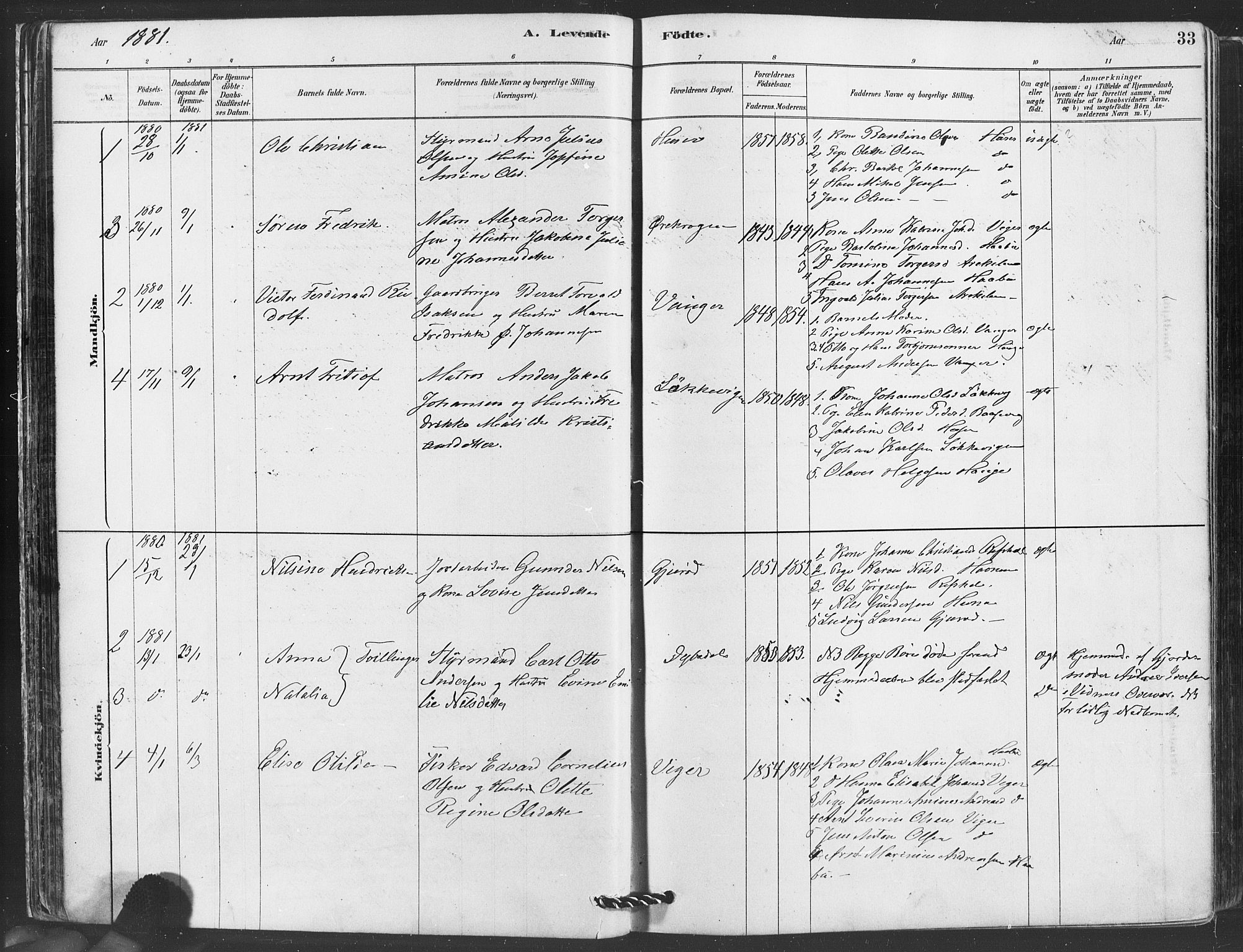 Hvaler prestekontor Kirkebøker, AV/SAO-A-2001/F/Fa/L0008: Parish register (official) no. I 8, 1878-1895, p. 33