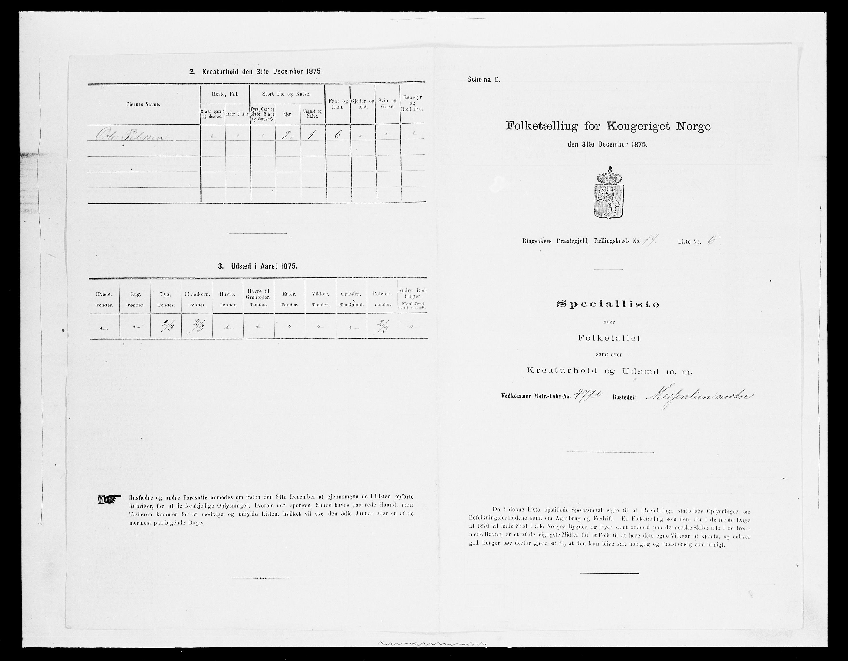 SAH, 1875 census for 0412P Ringsaker, 1875, p. 3745