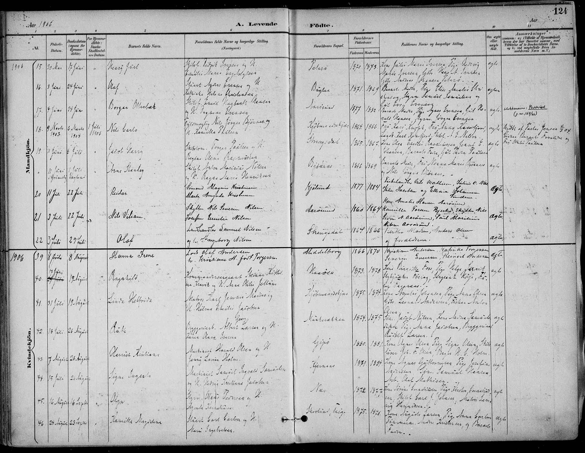 Nøtterøy kirkebøker, AV/SAKO-A-354/F/Fa/L0009: Parish register (official) no. I 9, 1894-1907, p. 124