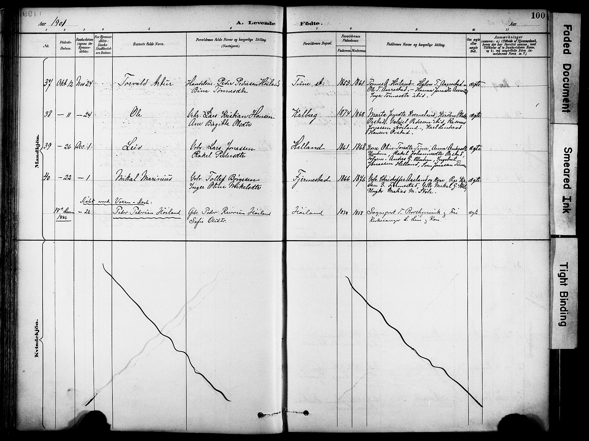 Lye sokneprestkontor, AV/SAST-A-101794/001/30BA/L0011: Parish register (official) no. A 9, 1893-1903, p. 100