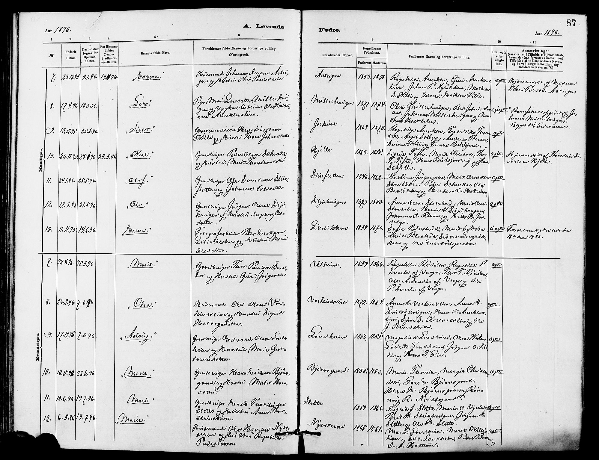 Dovre prestekontor, SAH/PREST-066/H/Ha/Hab/L0002: Parish register (copy) no. 2, 1881-1907, p. 87