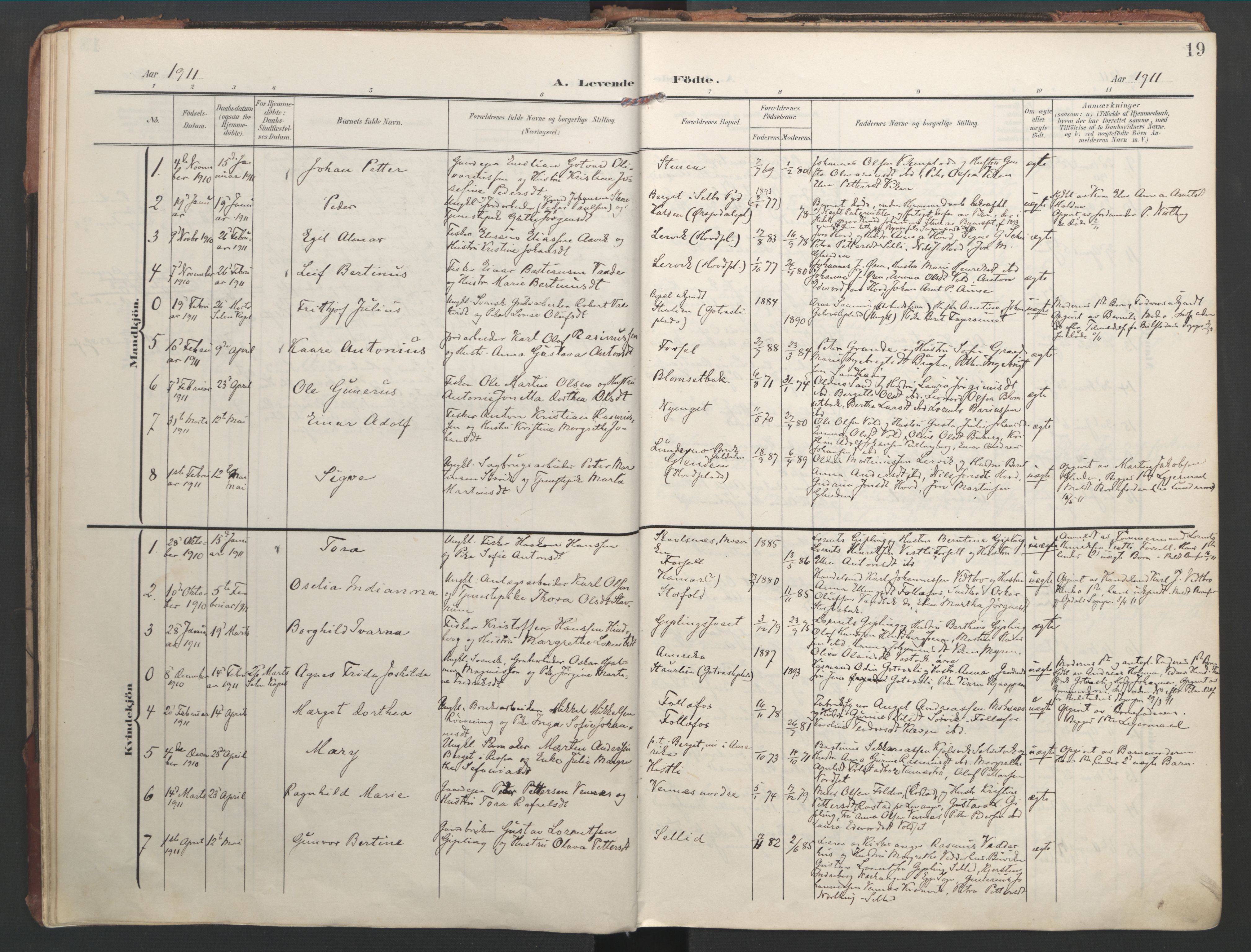 Ministerialprotokoller, klokkerbøker og fødselsregistre - Nord-Trøndelag, AV/SAT-A-1458/744/L0421: Parish register (official) no. 744A05, 1905-1930, p. 19
