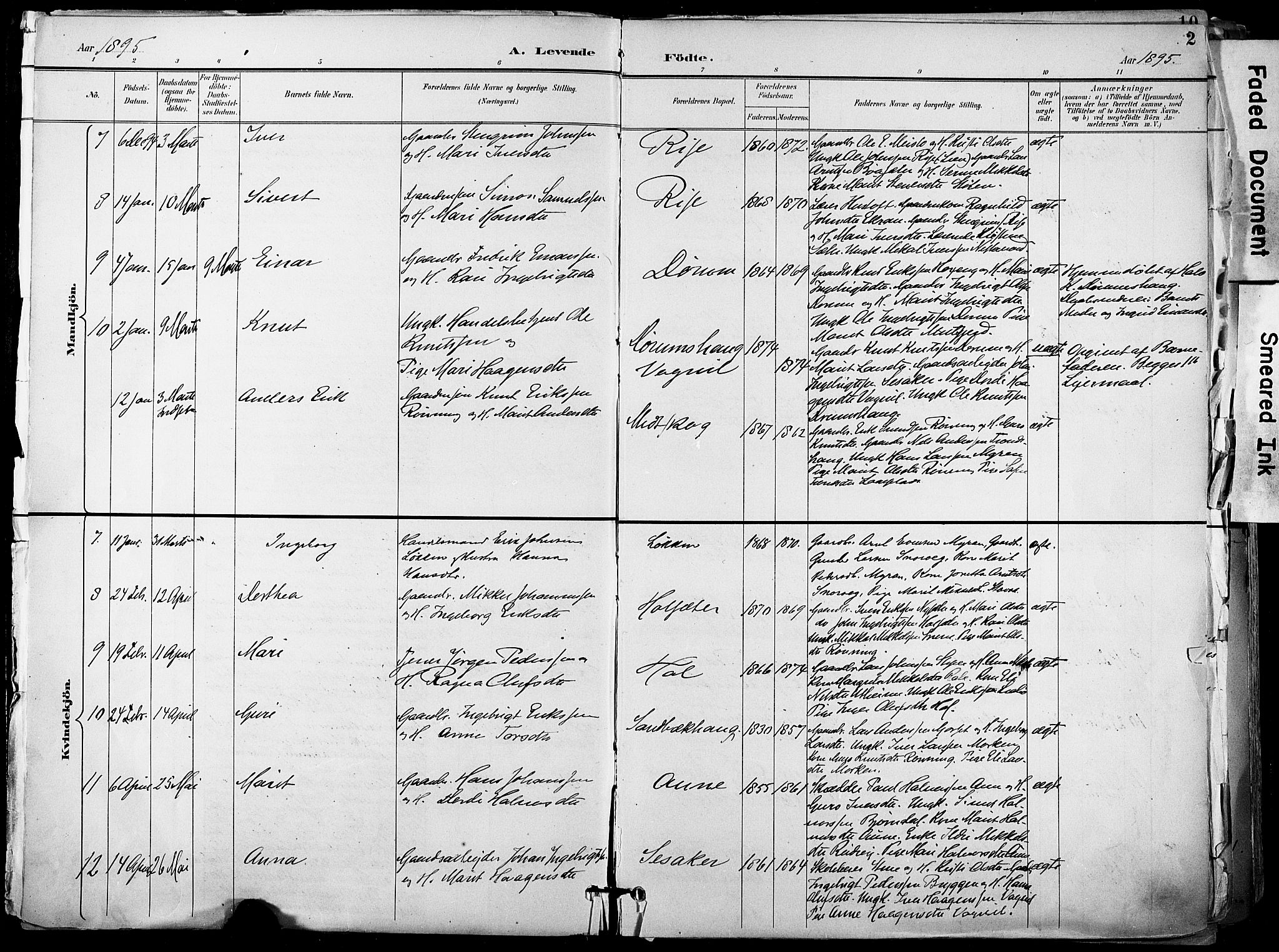 Ministerialprotokoller, klokkerbøker og fødselsregistre - Sør-Trøndelag, SAT/A-1456/678/L0902: Parish register (official) no. 678A11, 1895-1911, p. 2