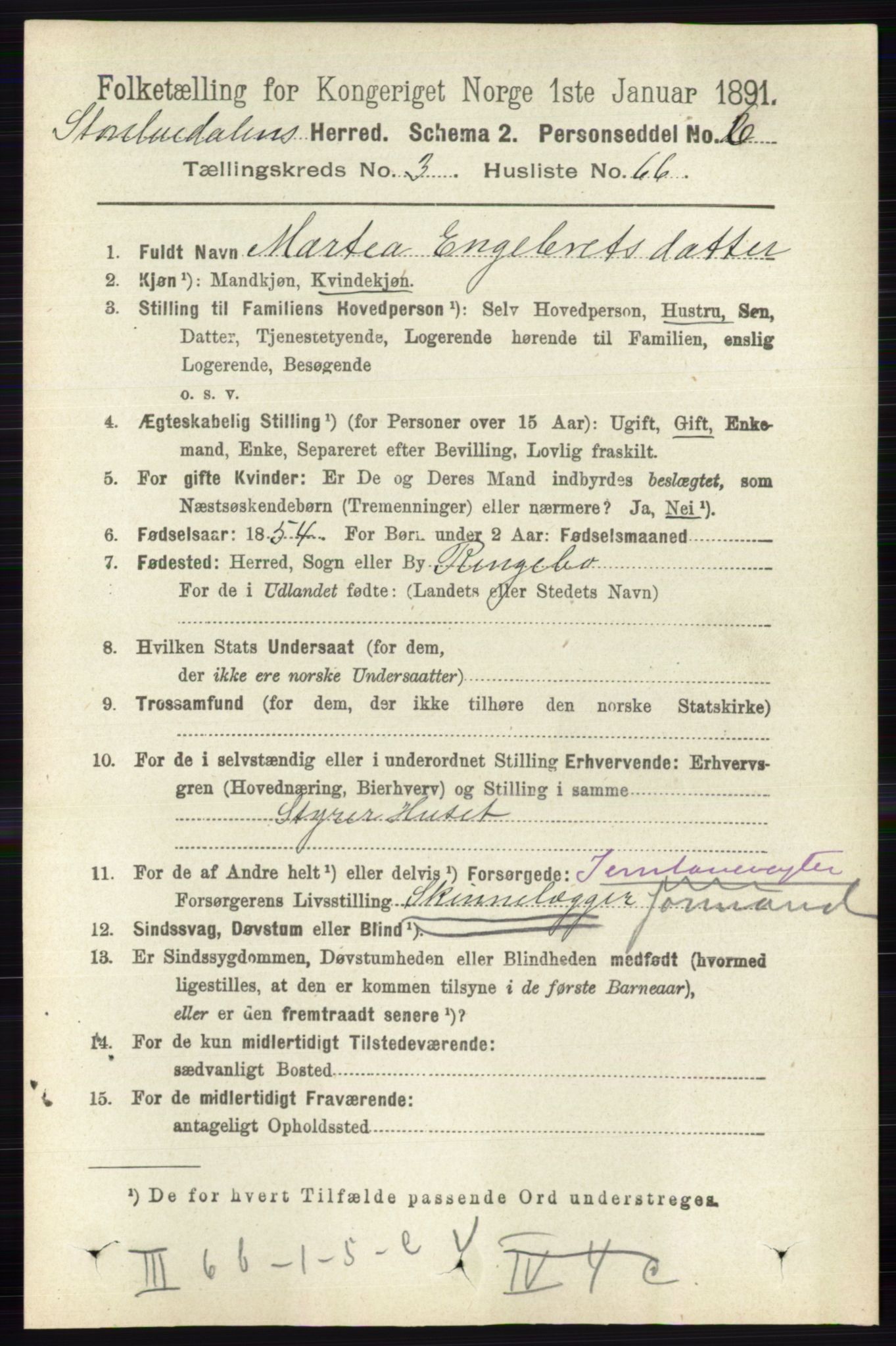 RA, 1891 census for 0430 Stor-Elvdal, 1891, p. 1313