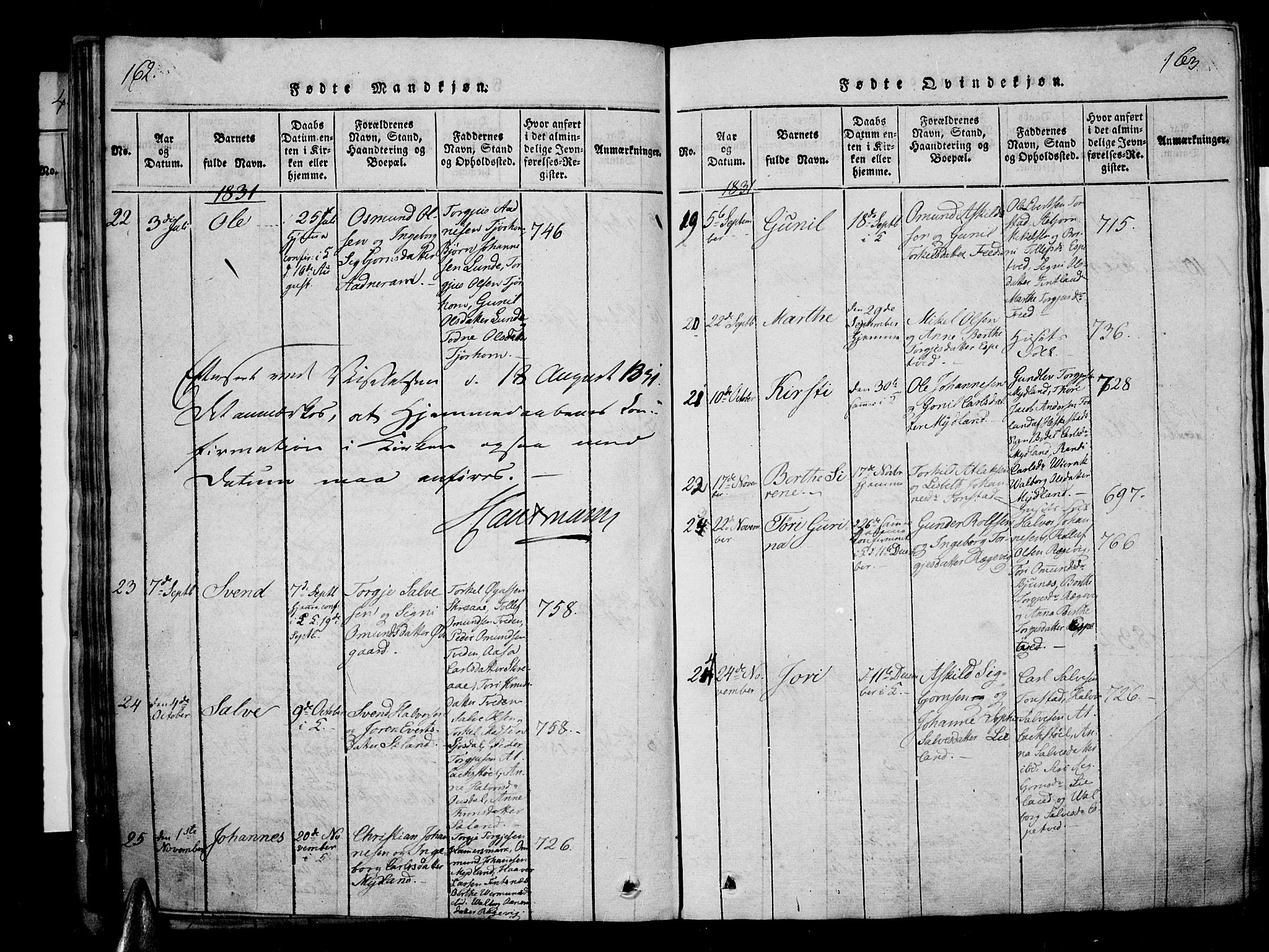 Sirdal sokneprestkontor, AV/SAK-1111-0036/F/Fa/Fab/L0001: Parish register (official) no. A 1, 1815-1834, p. 162-163