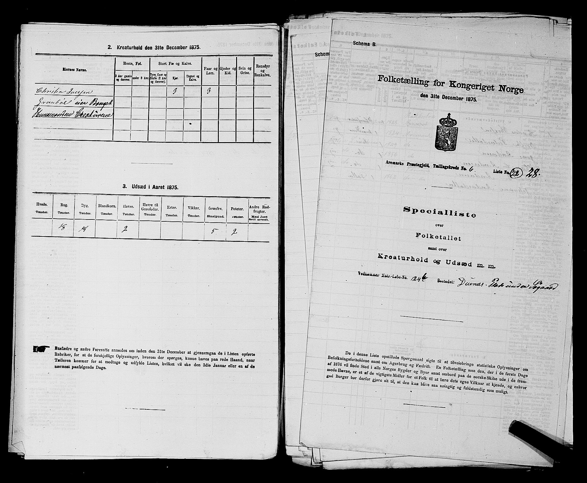RA, 1875 census for 0118P Aremark, 1875, p. 872