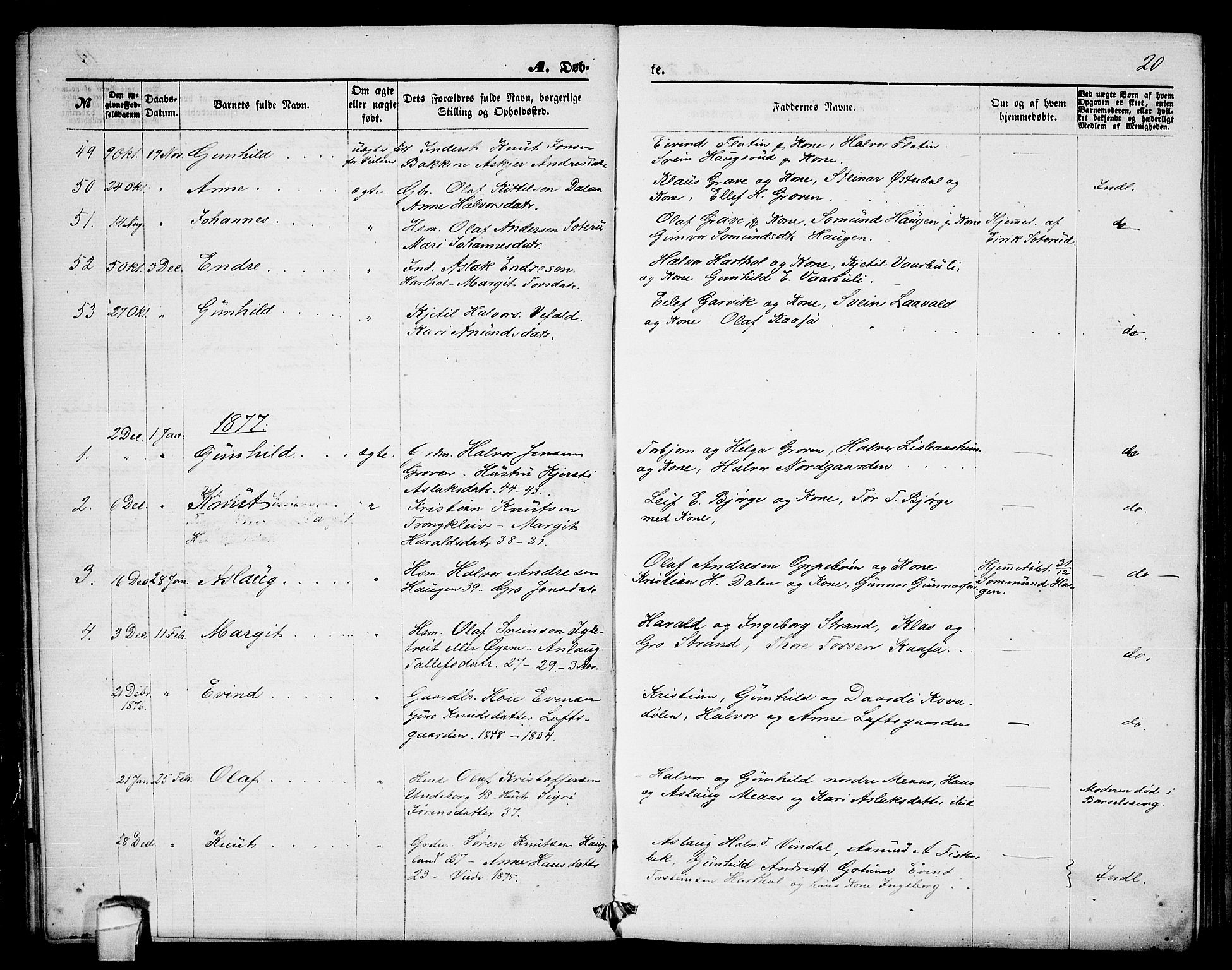 Seljord kirkebøker, SAKO/A-20/G/Ga/L0004: Parish register (copy) no. I 4, 1873-1886, p. 20