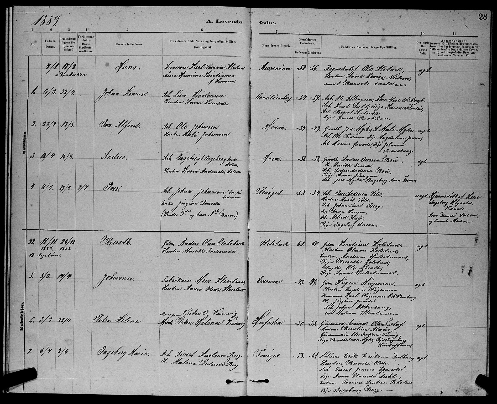 Ministerialprotokoller, klokkerbøker og fødselsregistre - Sør-Trøndelag, SAT/A-1456/611/L0354: Parish register (copy) no. 611C02, 1881-1896, p. 28
